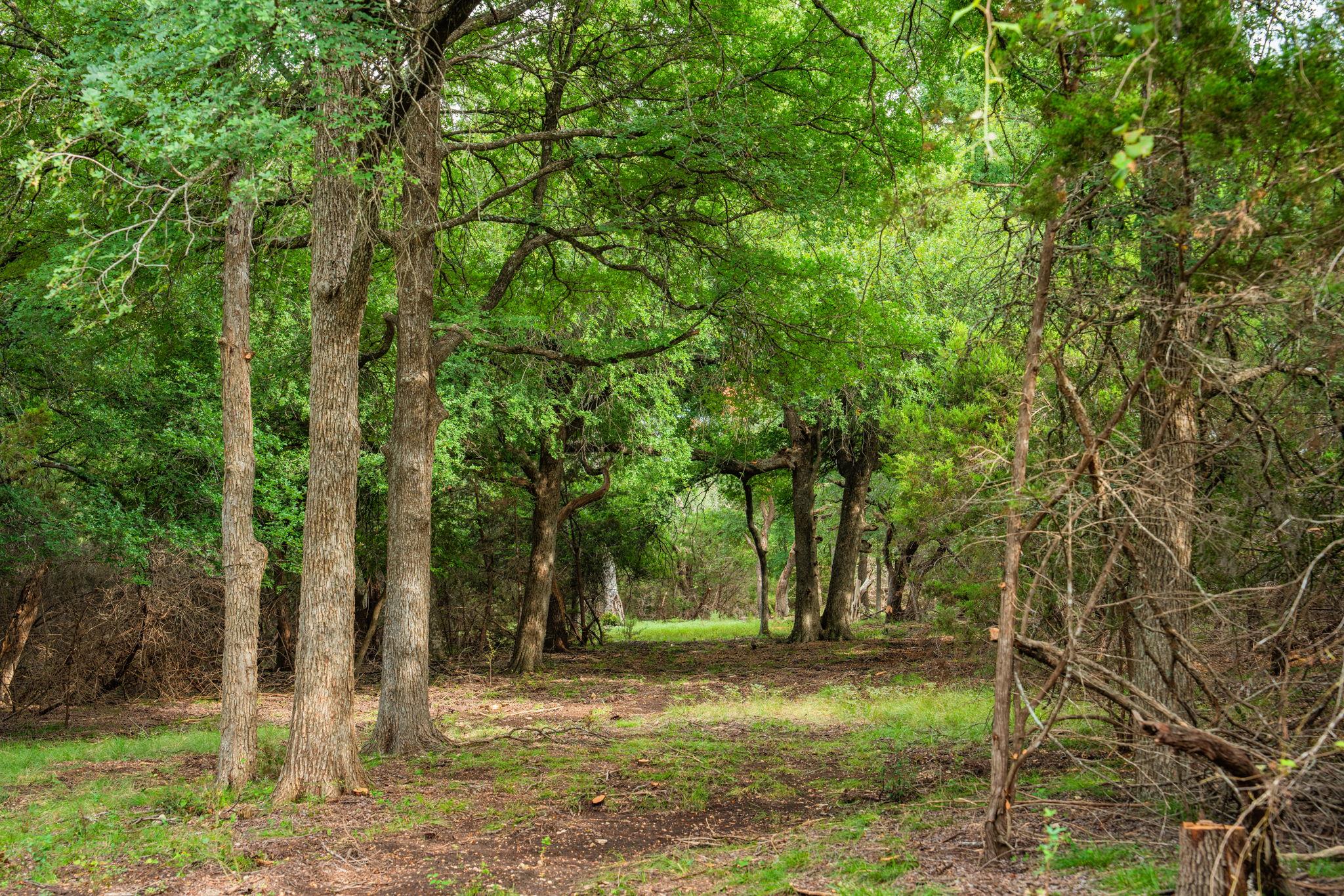 00 County Road 284, Liberty Hill, TX 78642