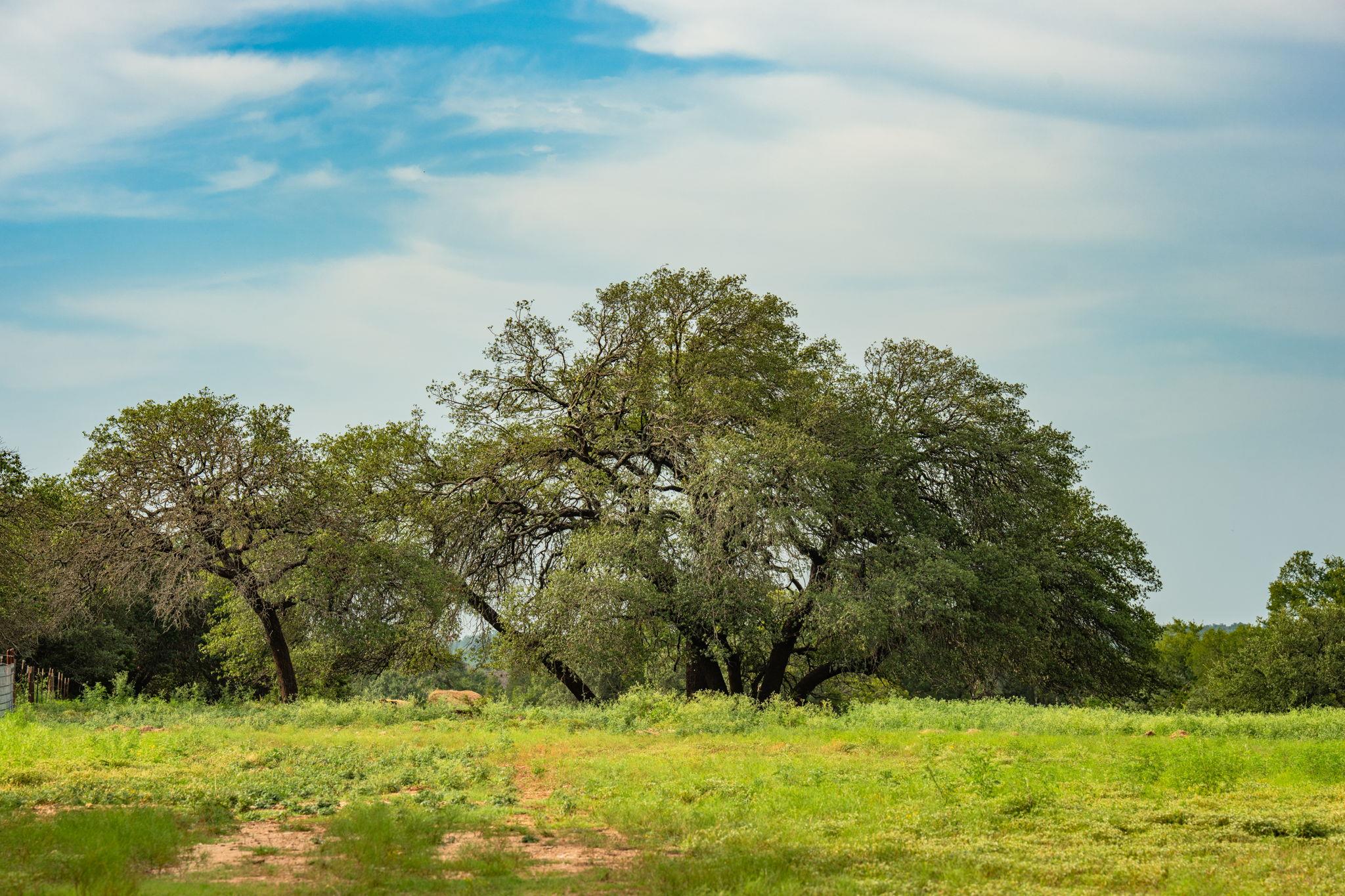 00 County Road 284, Liberty Hill, TX 78642