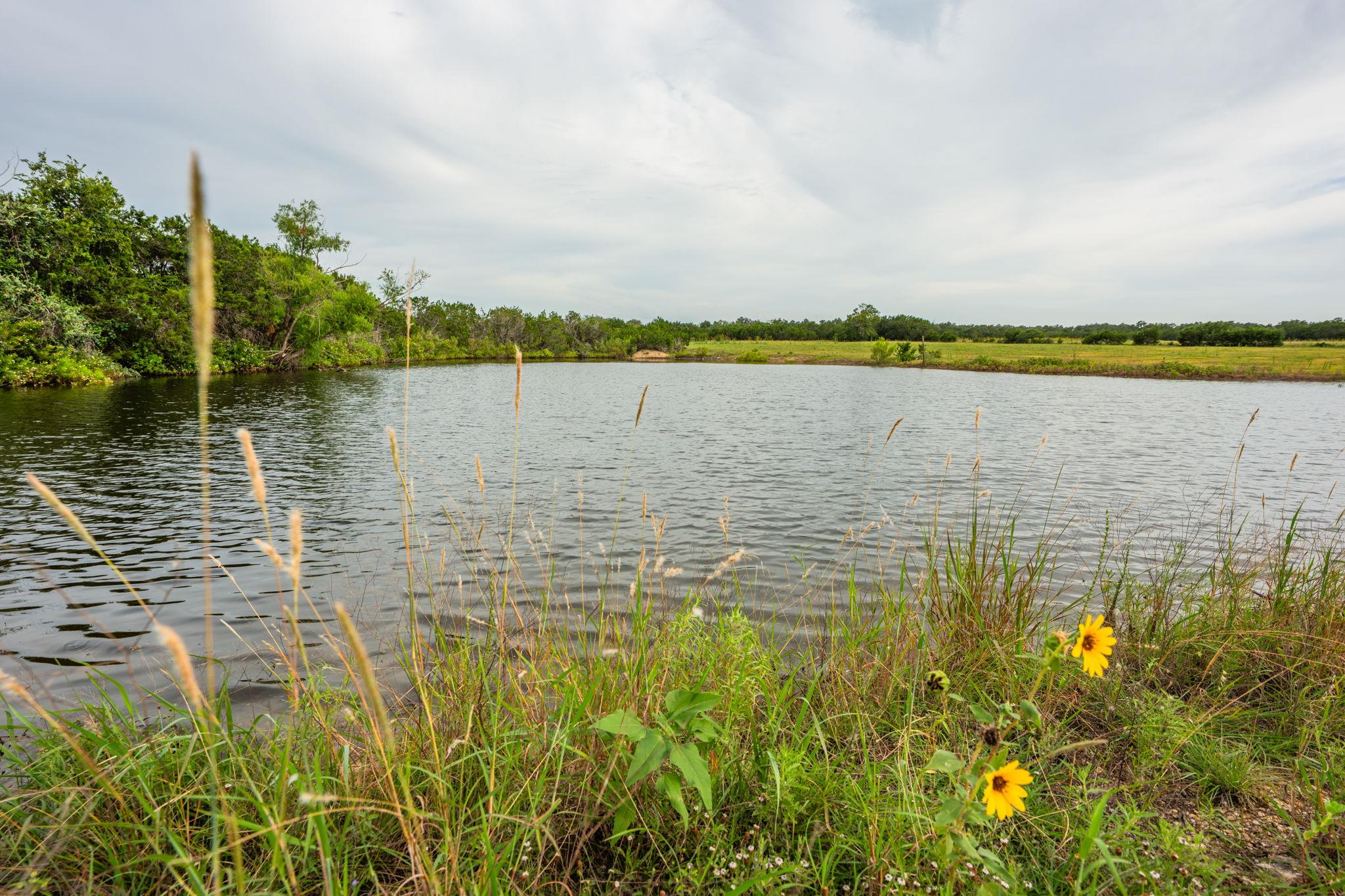 00 County Road 284, Liberty Hill, TX 78642