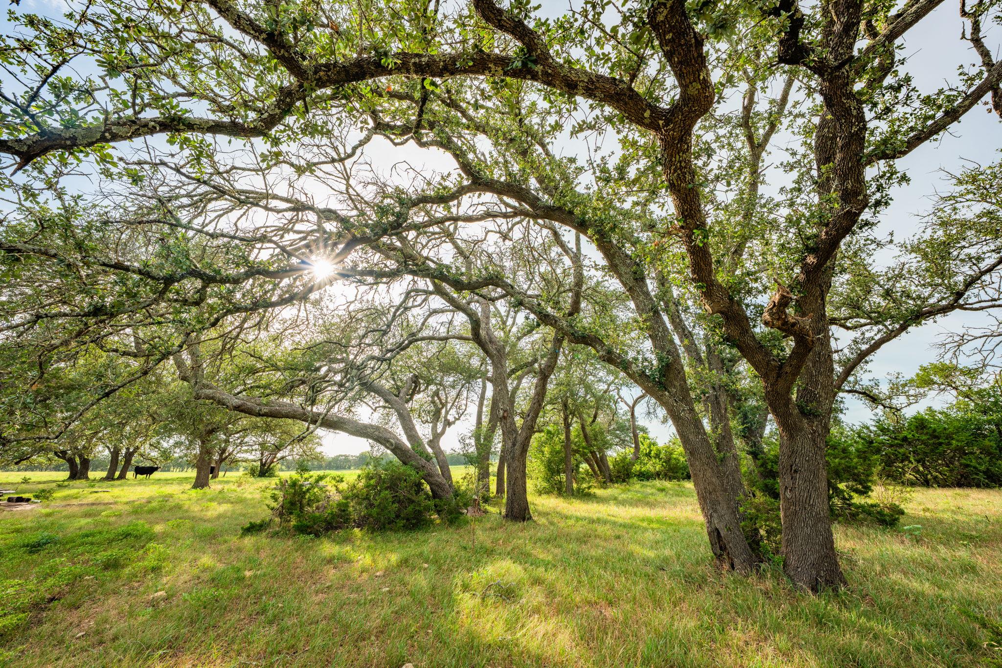 00 County Road 284, Liberty Hill, TX 78642