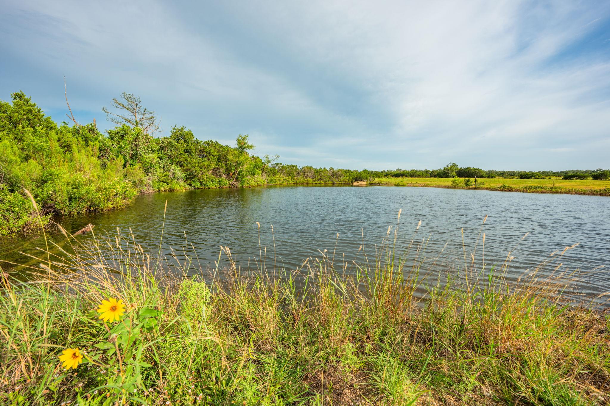 00 County Road 284, Liberty Hill, TX 78642