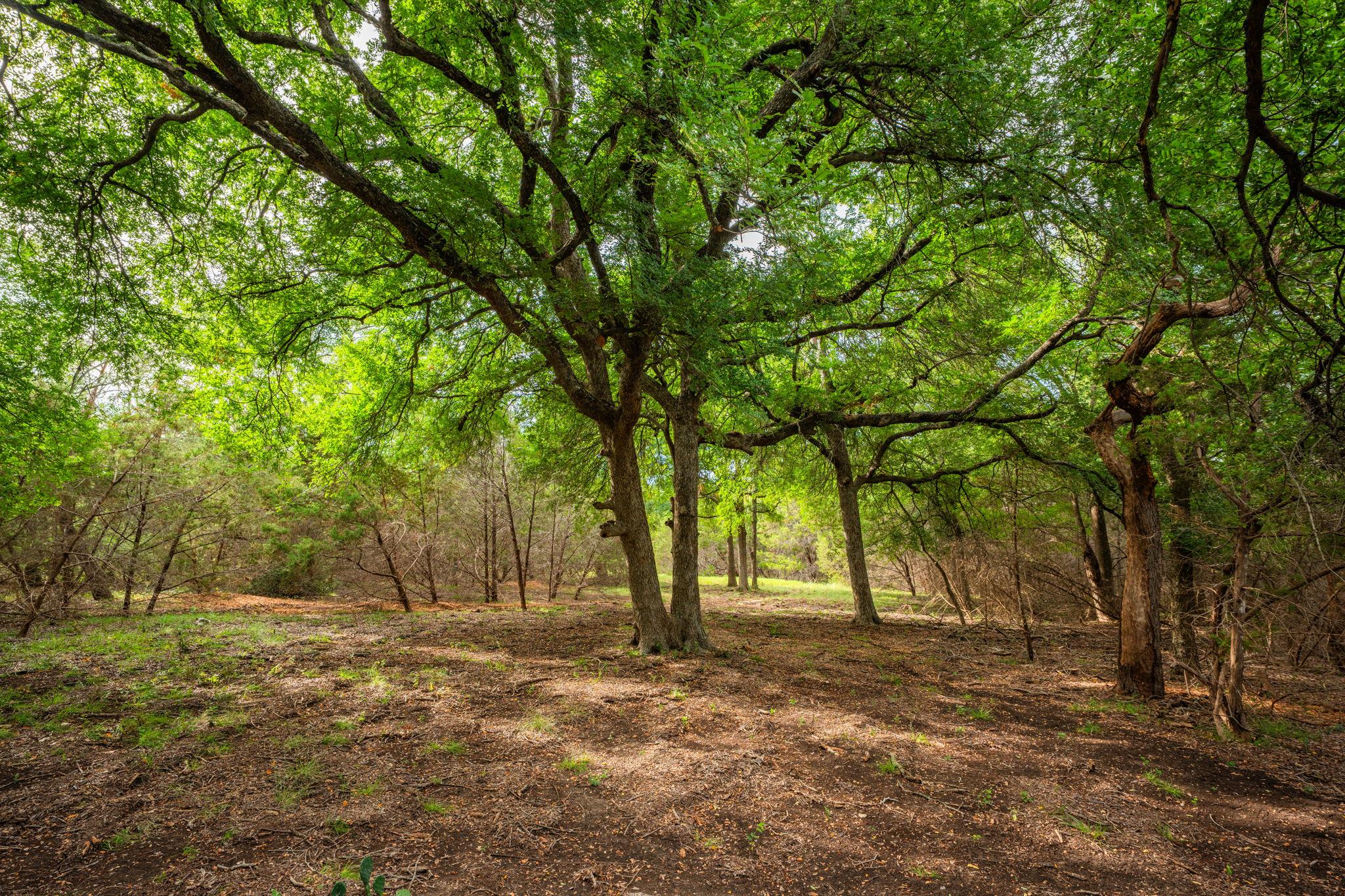 00 County Road 284, Liberty Hill, TX 78642