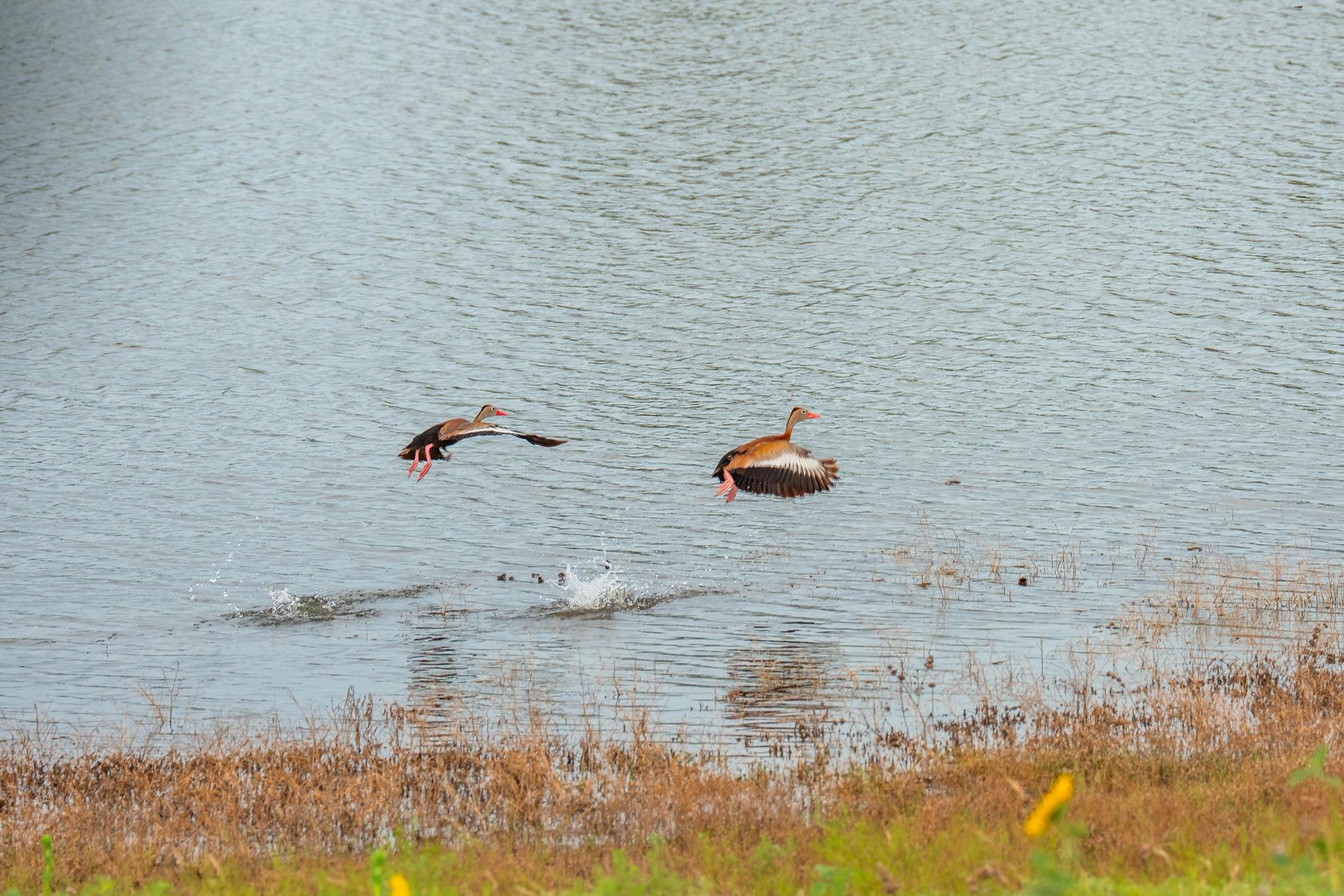 00 County Road 284, Liberty Hill, TX 78642