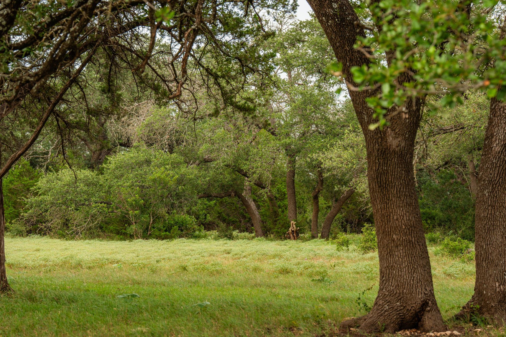 00 County Road 284, Liberty Hill, TX 78642