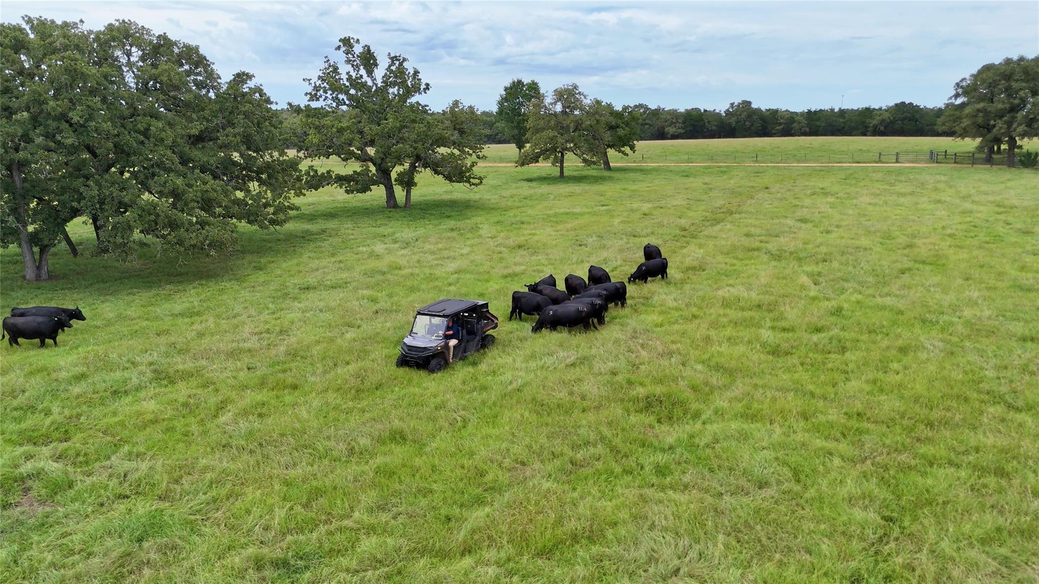 705 Antioch Rd, Paige, TX 78659