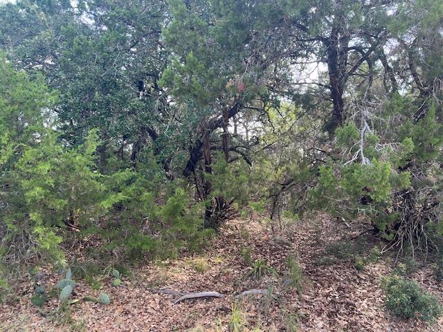 2307 American Dr, Lago Vista, TX 78645