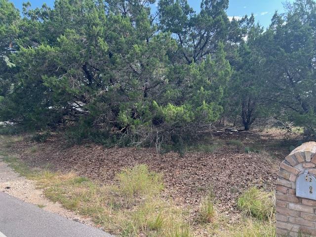 2307 American Dr, Lago Vista, TX 78645