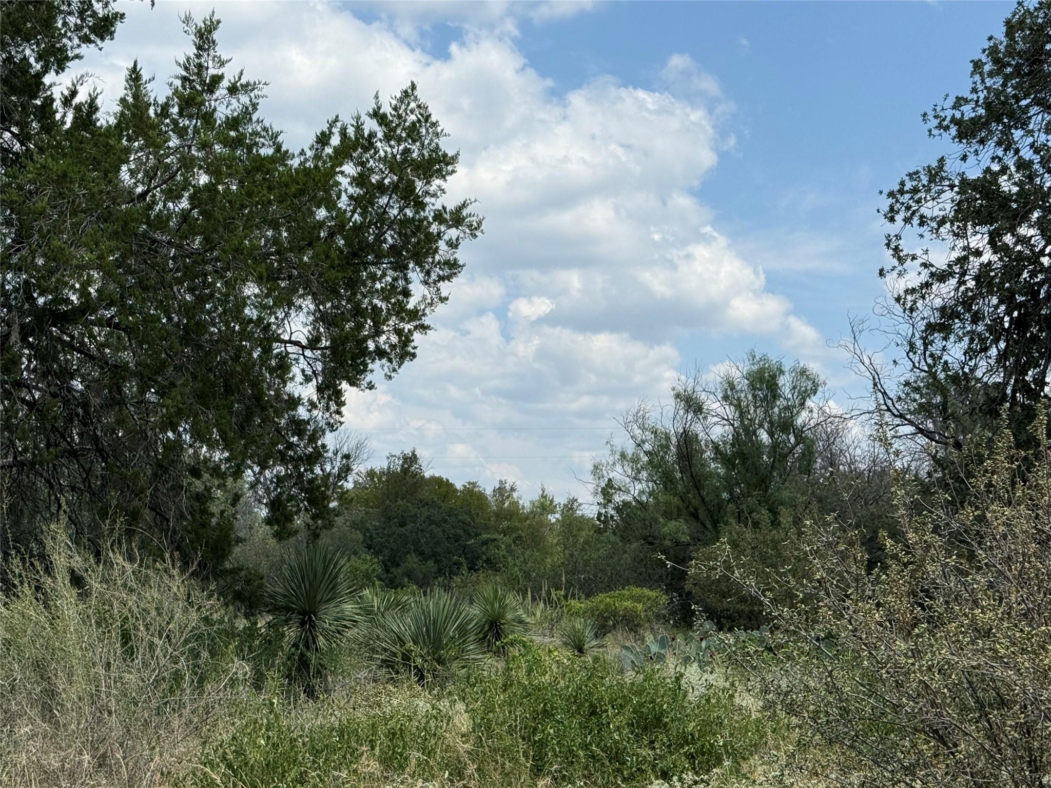 TBD Sweetbriar Dr W, Granite Shoals, TX 78654