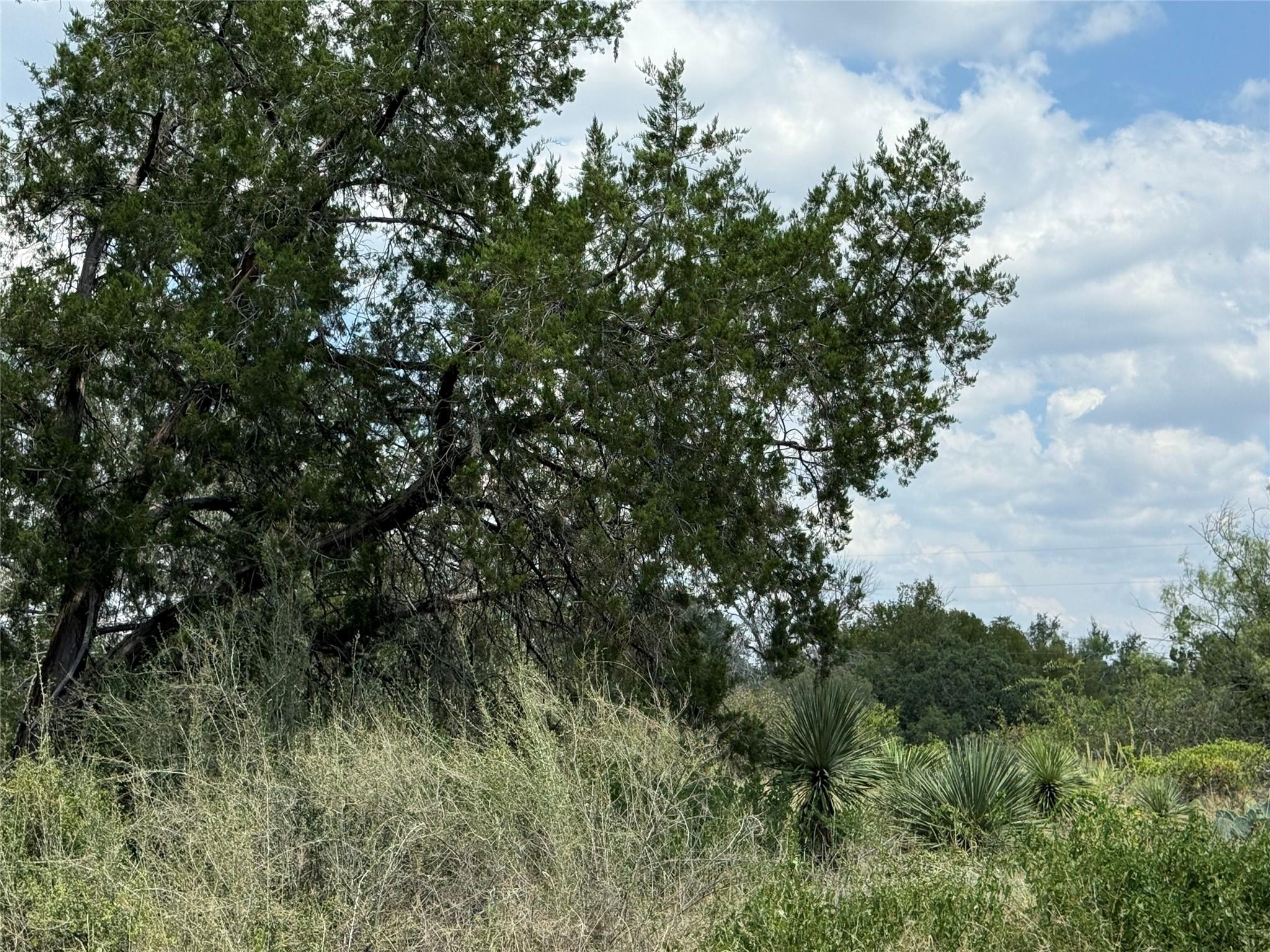 TBD Sweetbriar Dr W, Granite Shoals, TX 78654