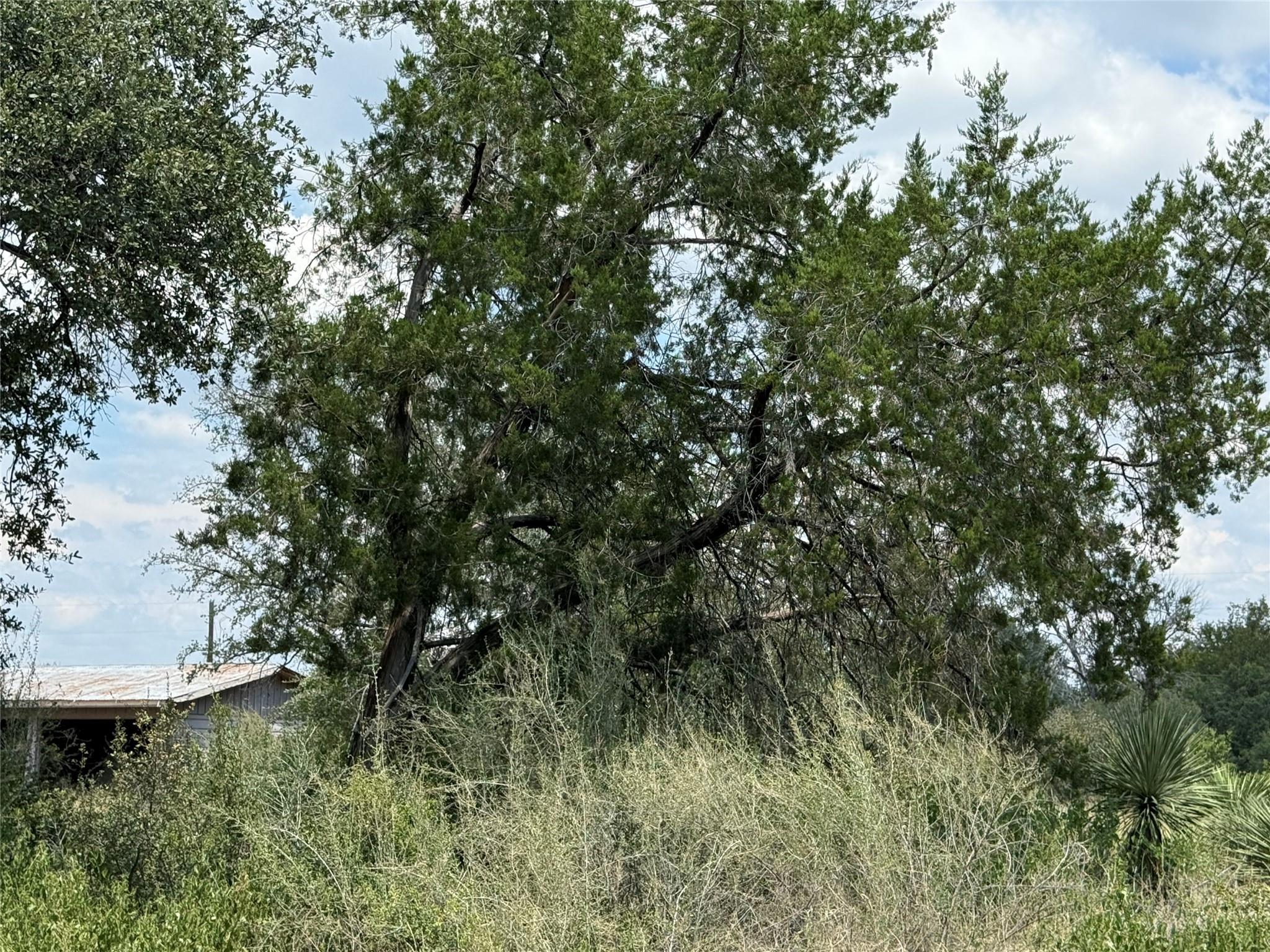 TBD Sweetbriar Dr W, Granite Shoals, TX 78654