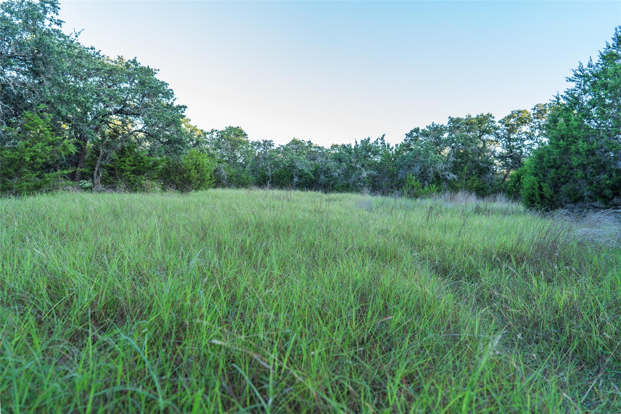 TBD A Crabapple Rd, Blanco, TX 78660
