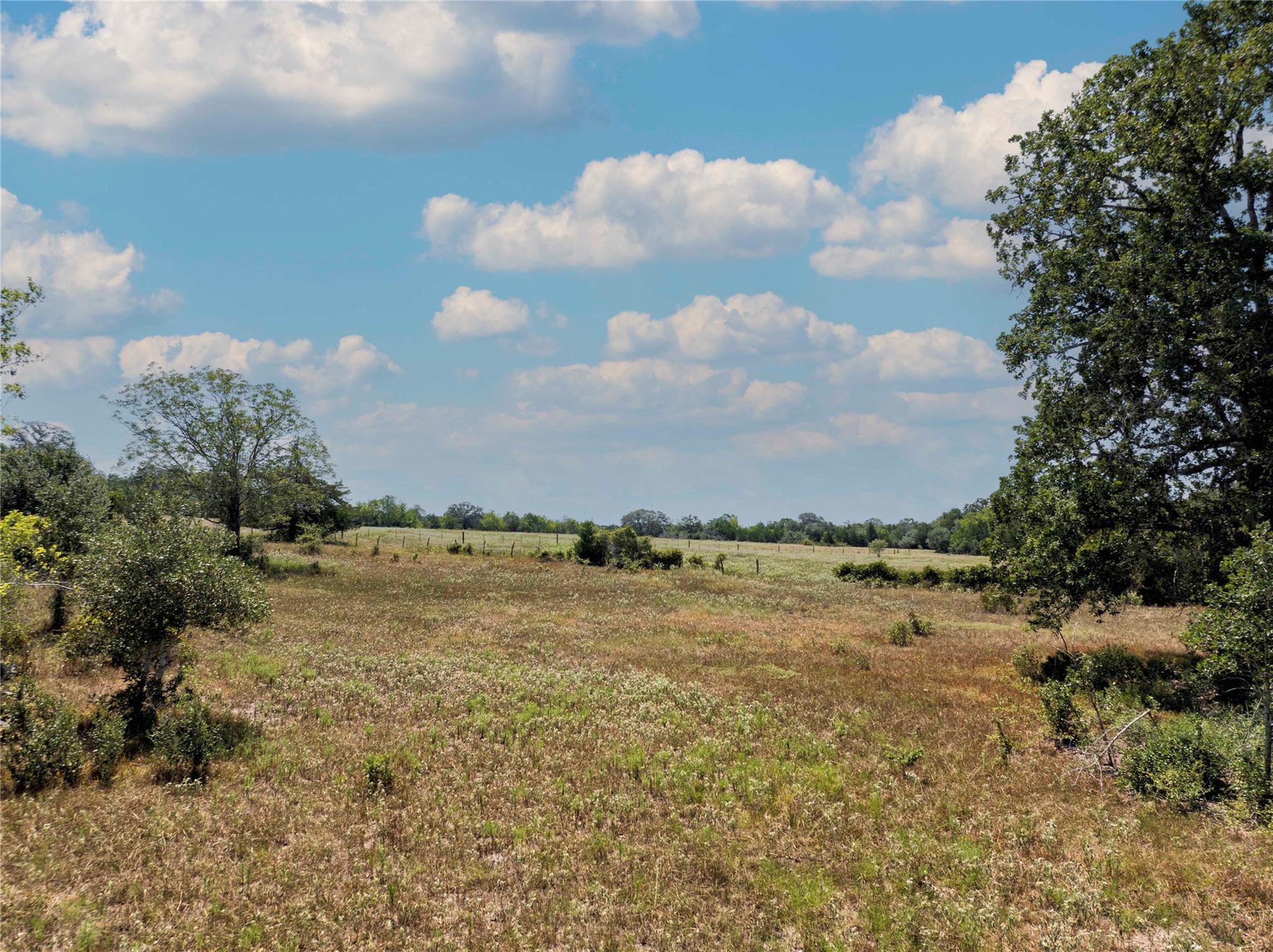 1830 Holub Rd, Schulenburg, TX 78956