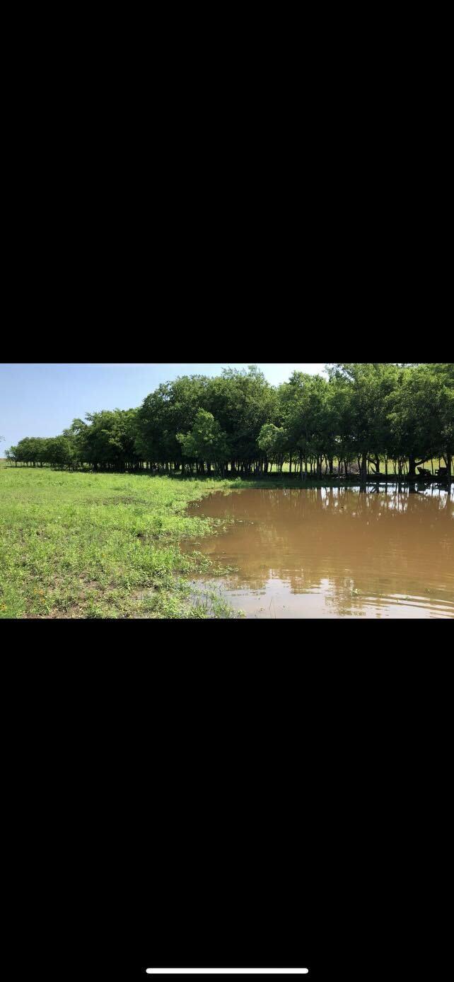 1250 County Road 311, Jarrell, TX 76537