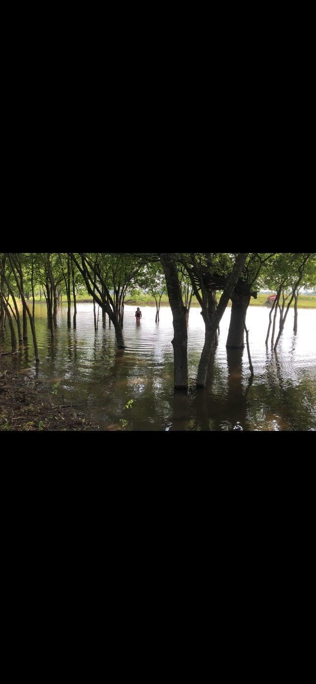 1250 County Road 311, Jarrell, TX 76537