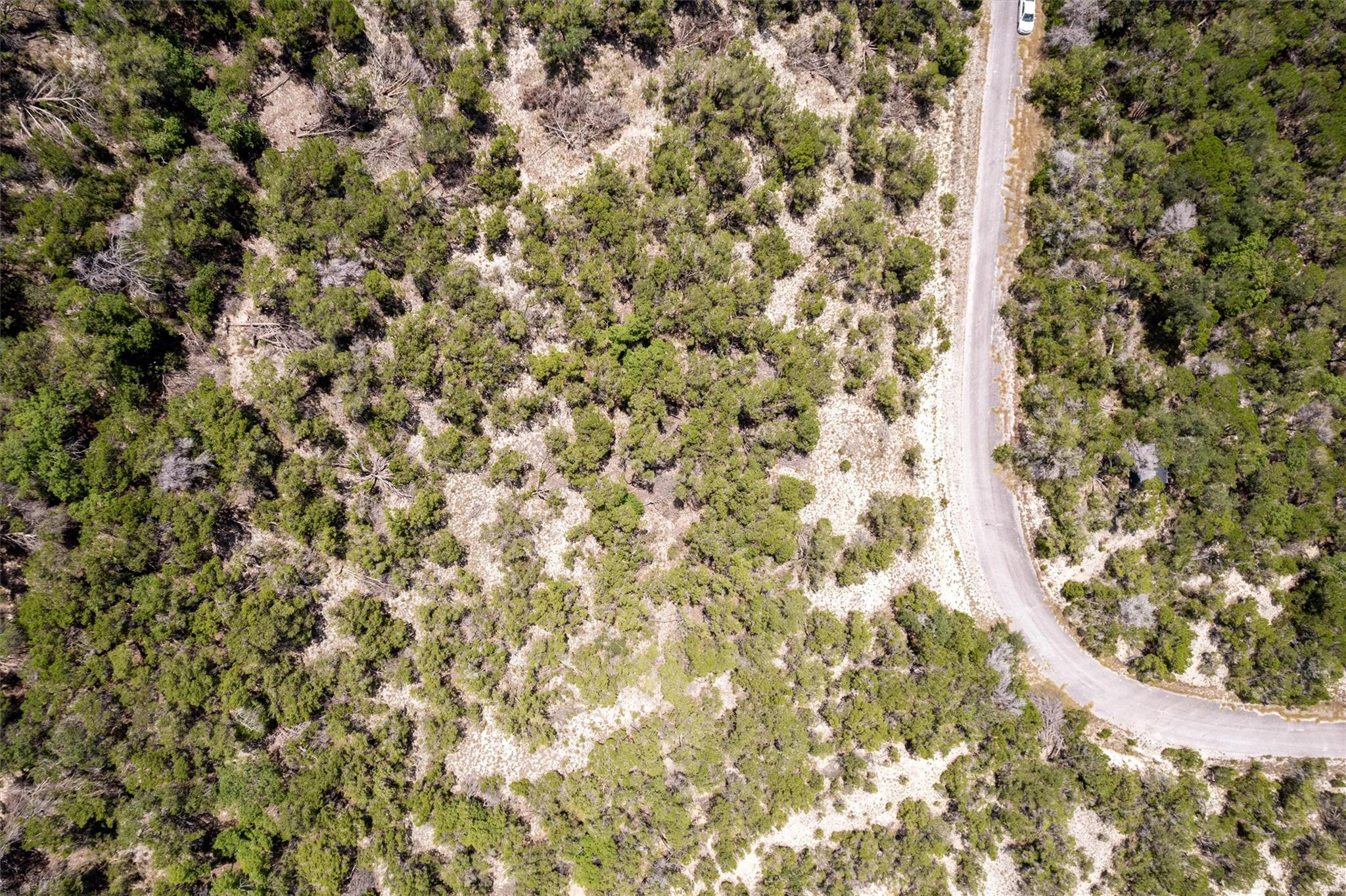 8147 Arroyo Ave, Leander, TX 78645