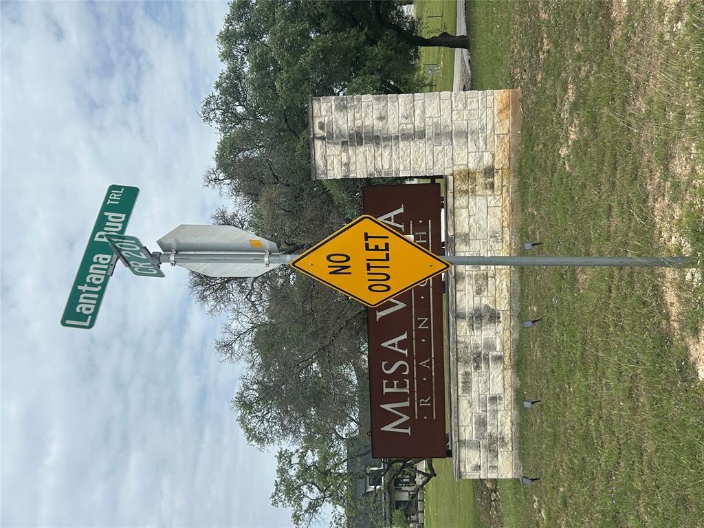 108 Lantana Bud Trl, Liberty Hill, TX 78642