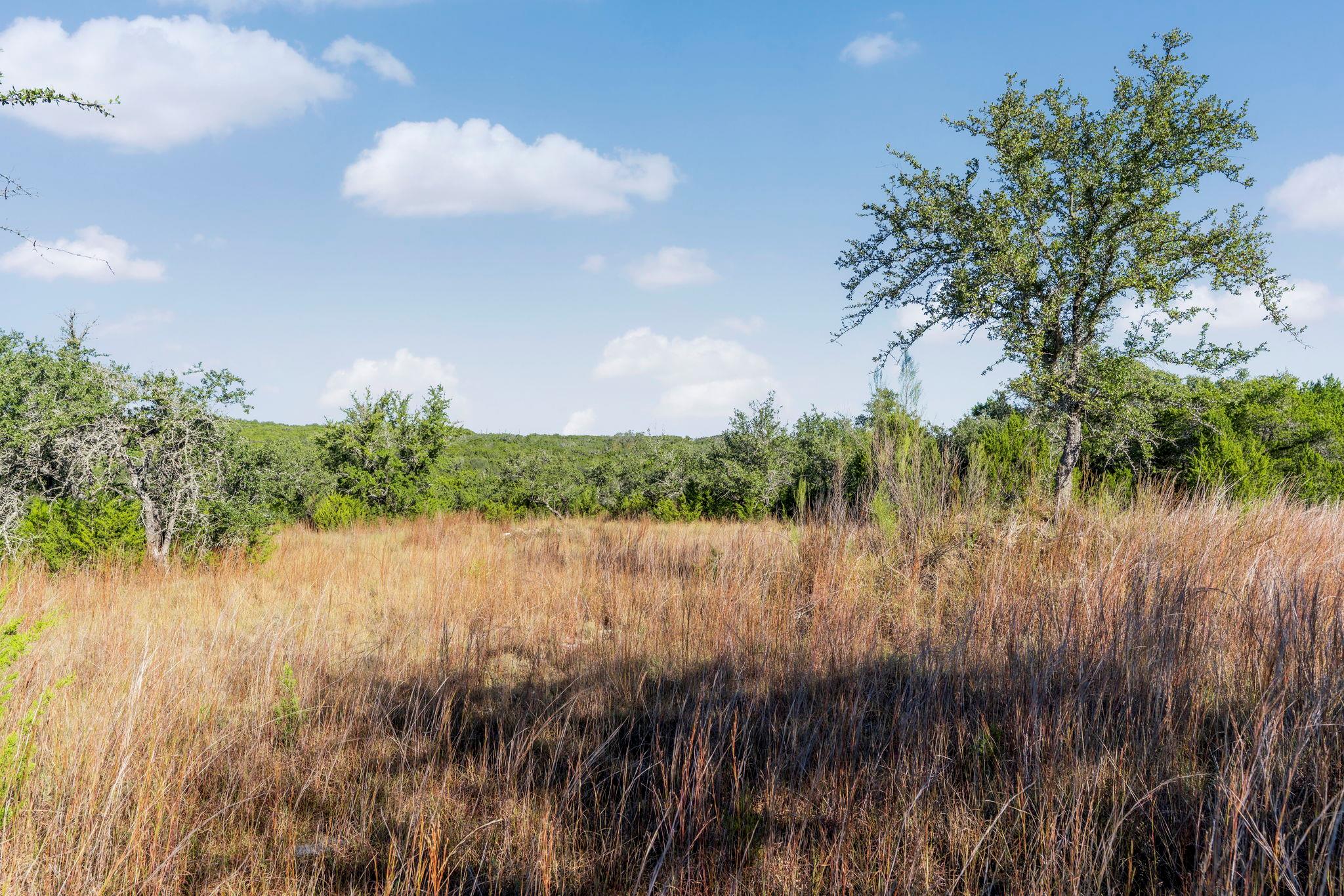 2021 Stagecoach Ranch Rd, Dripping Springs, TX 78620