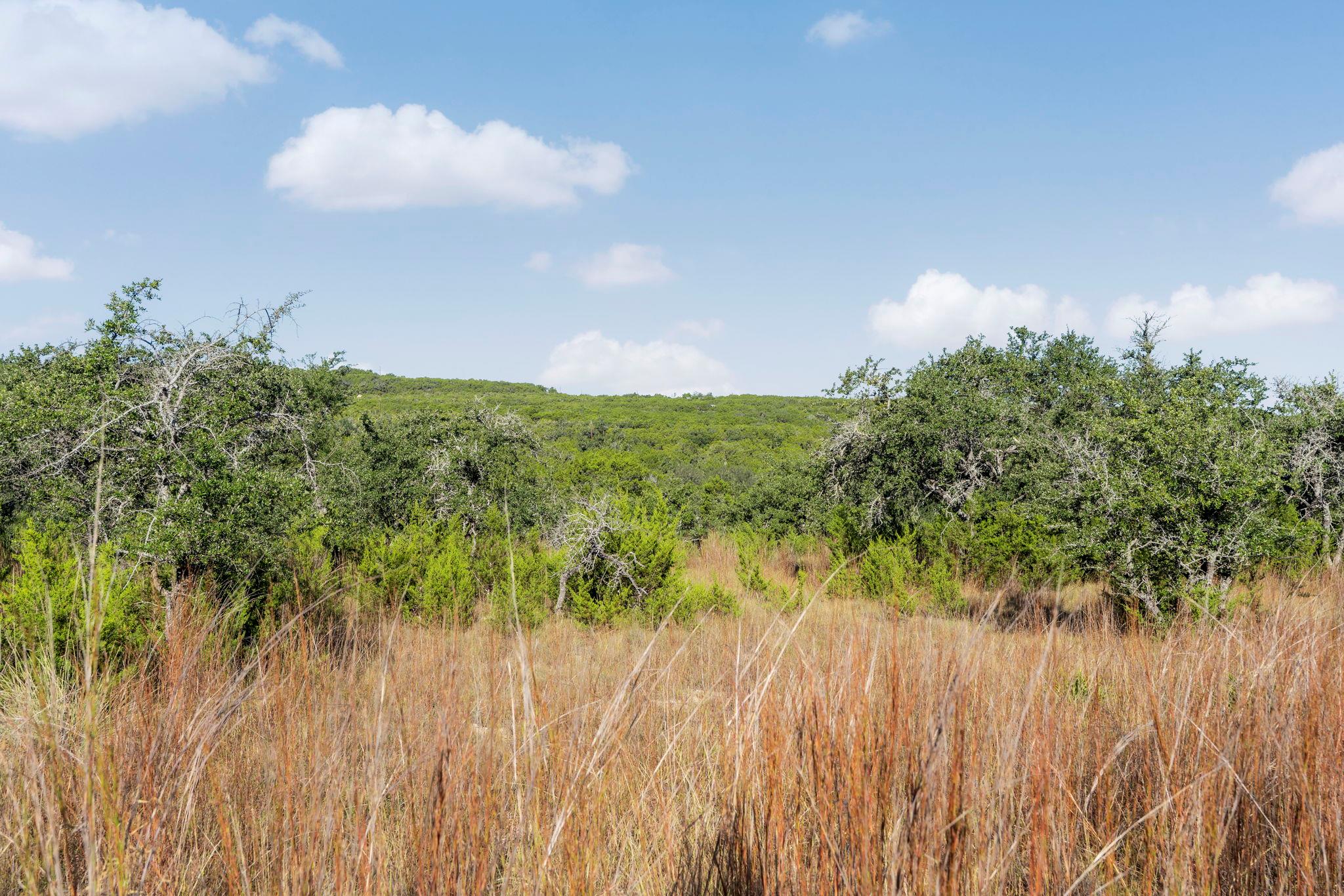 2021 Stagecoach Ranch Rd, Dripping Springs, TX 78620