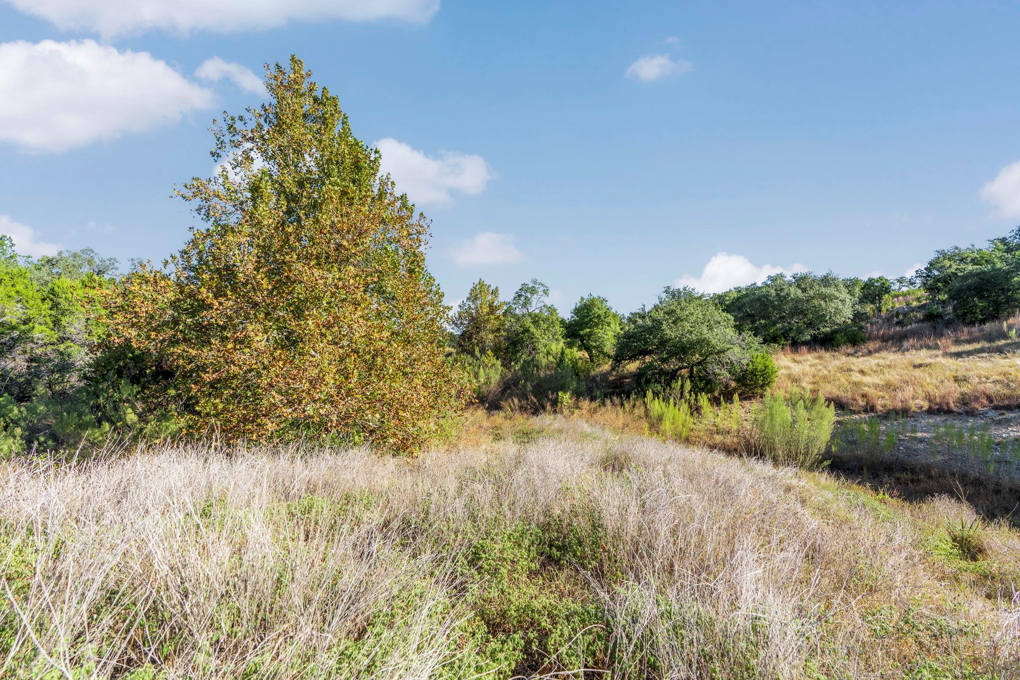 2021 Stagecoach Ranch Rd, Dripping Springs, TX 78620