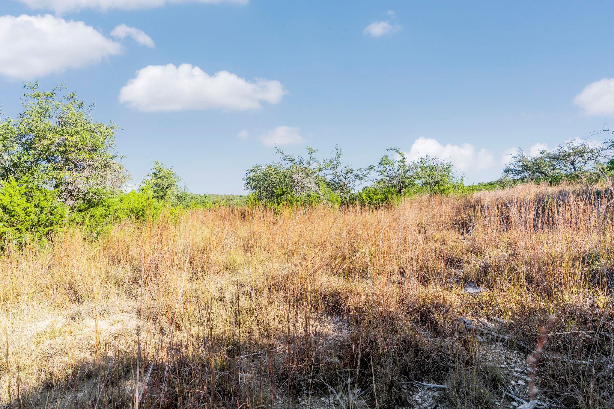 2021 Stagecoach Ranch Rd, Dripping Springs, TX 78620