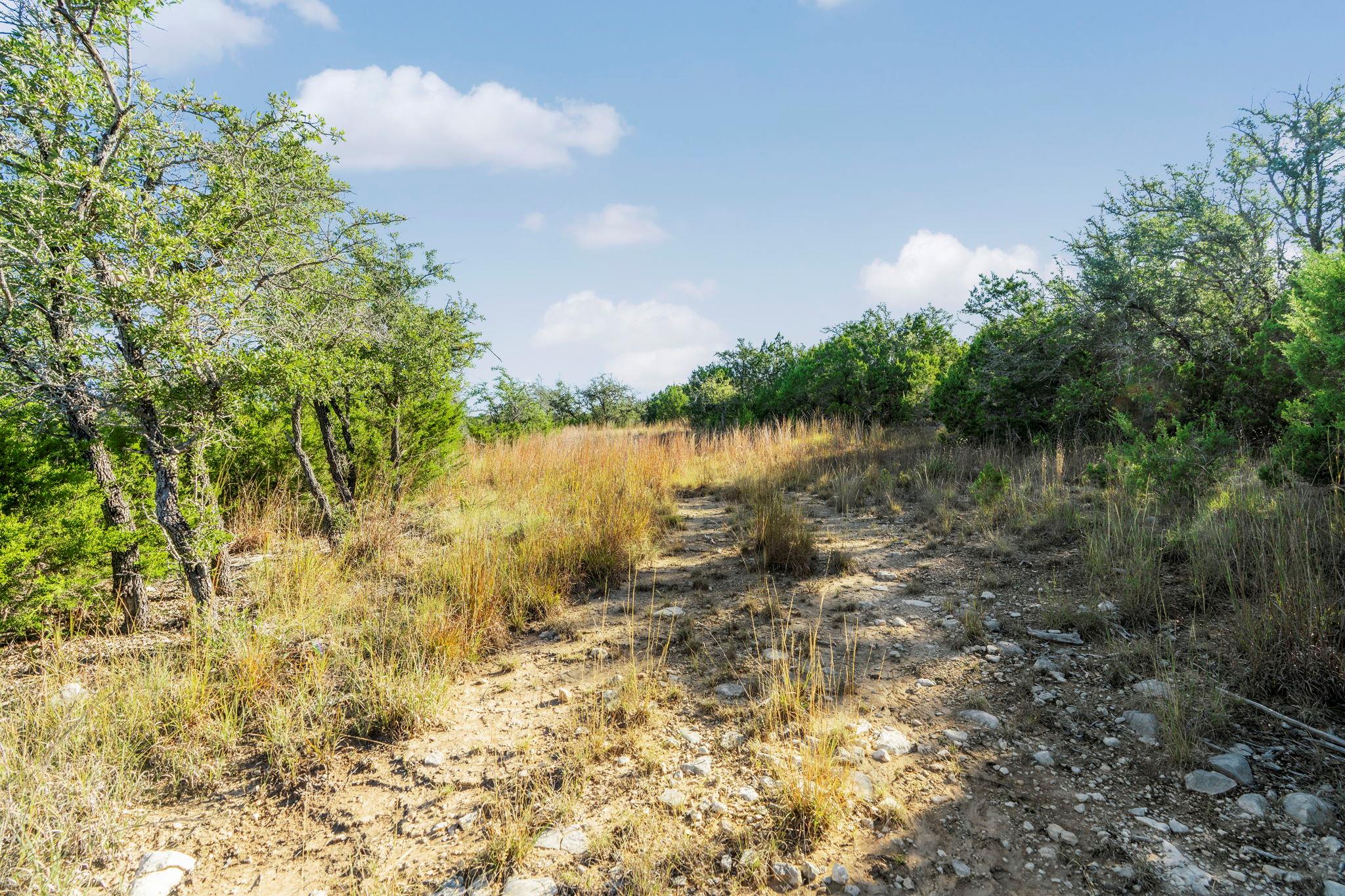 2021 Stagecoach Ranch Rd, Dripping Springs, TX 78620