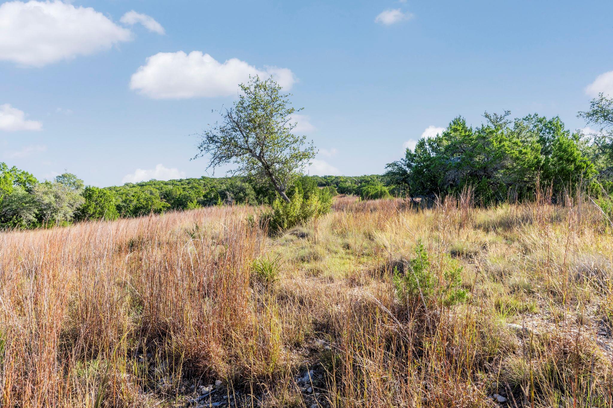 2021 Stagecoach Ranch Rd, Dripping Springs, TX 78620