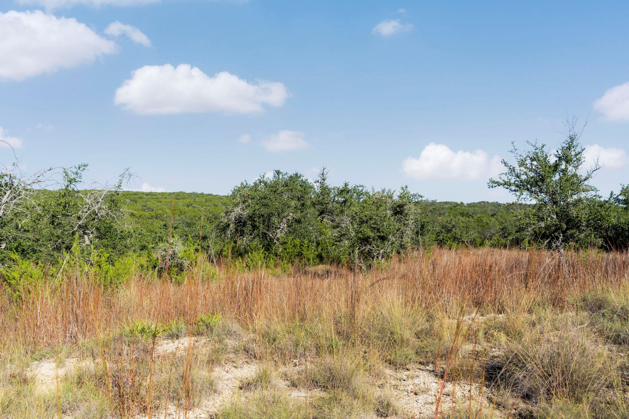 2021 Stagecoach Ranch Rd, Dripping Springs, TX 78620