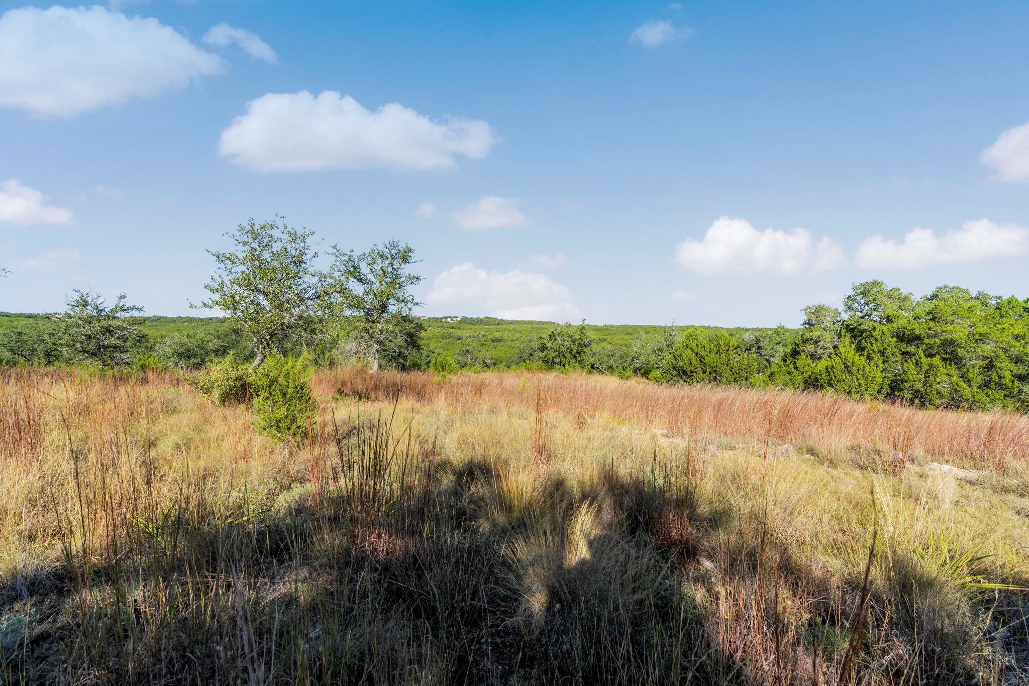2021 Stagecoach Ranch Rd, Dripping Springs, TX 78620