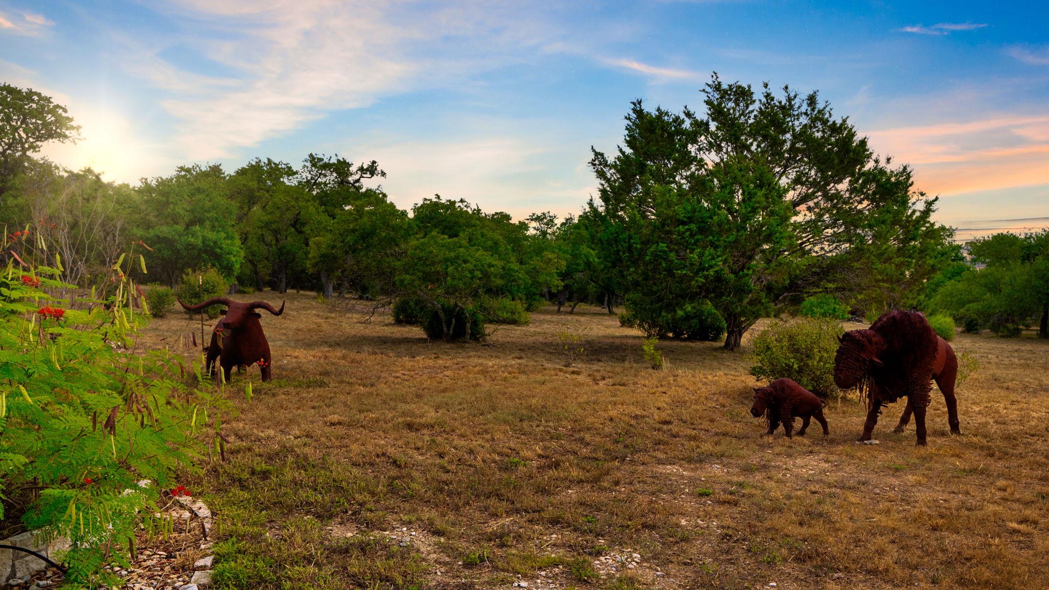 351 Fawn Meadow Dr, Dripping Springs, TX 78620