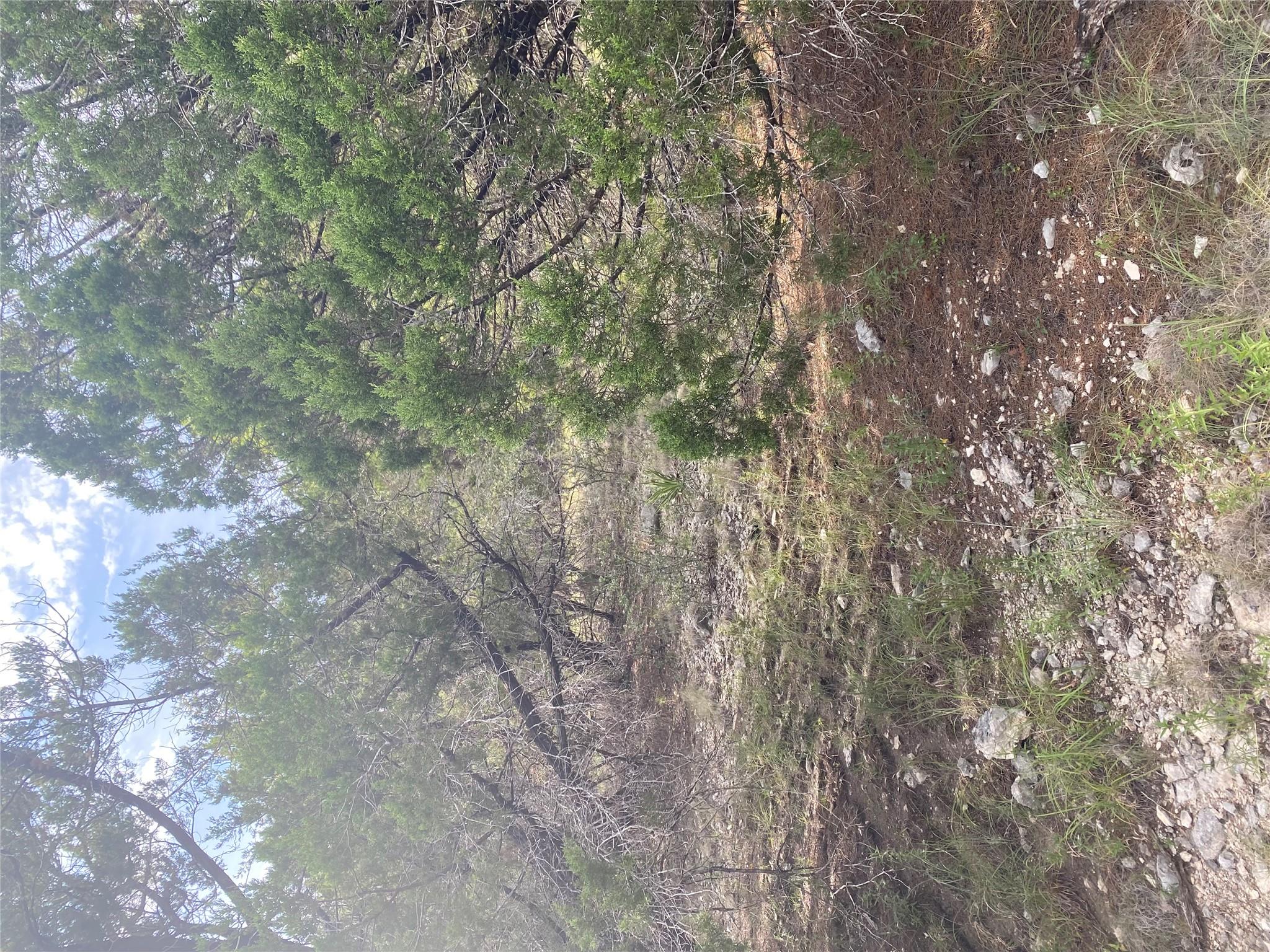 8217 Arroyo Ave, Lago Vista, TX 78645