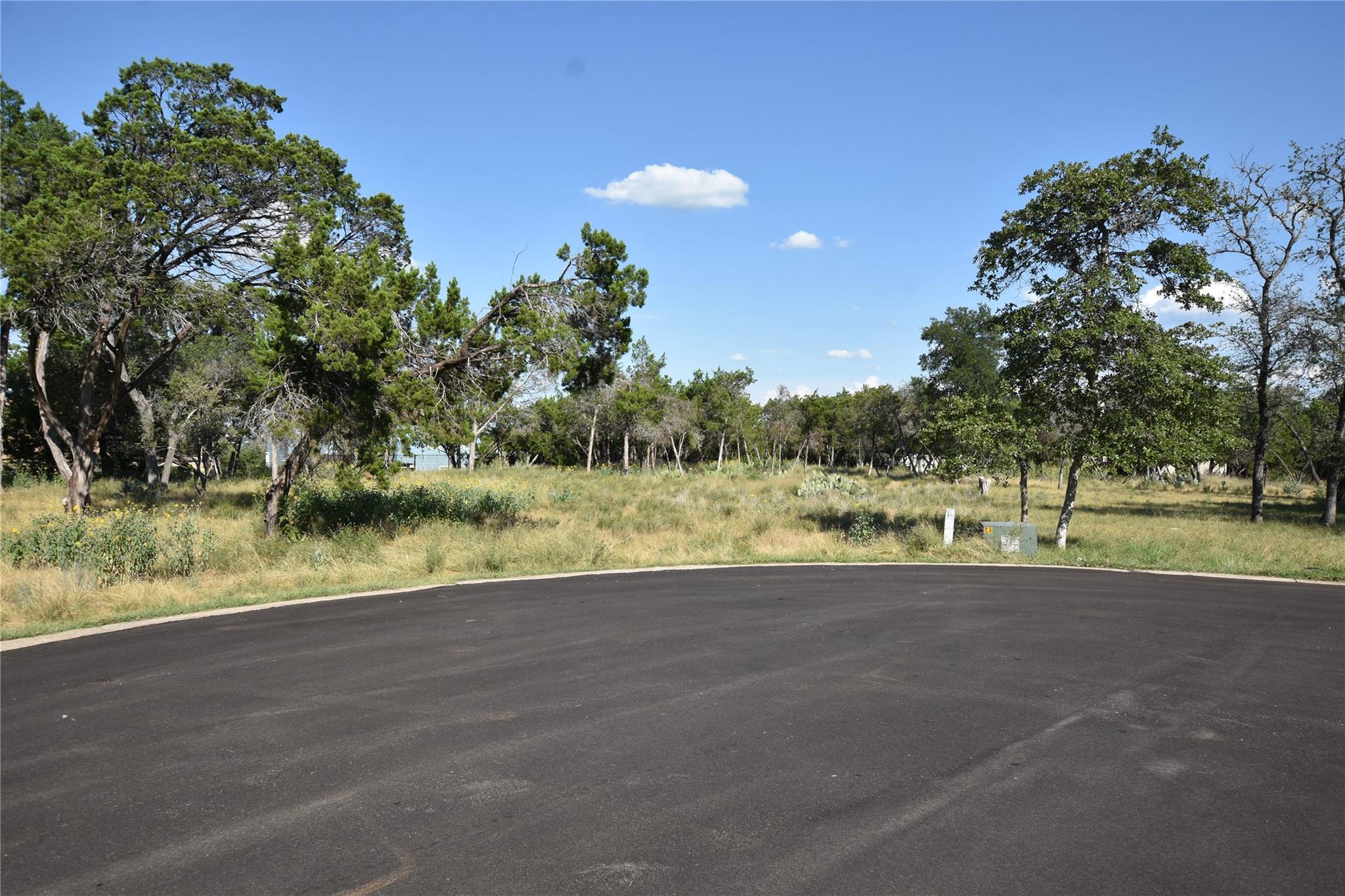 203 Champions Cv, Point Venture, TX 78645