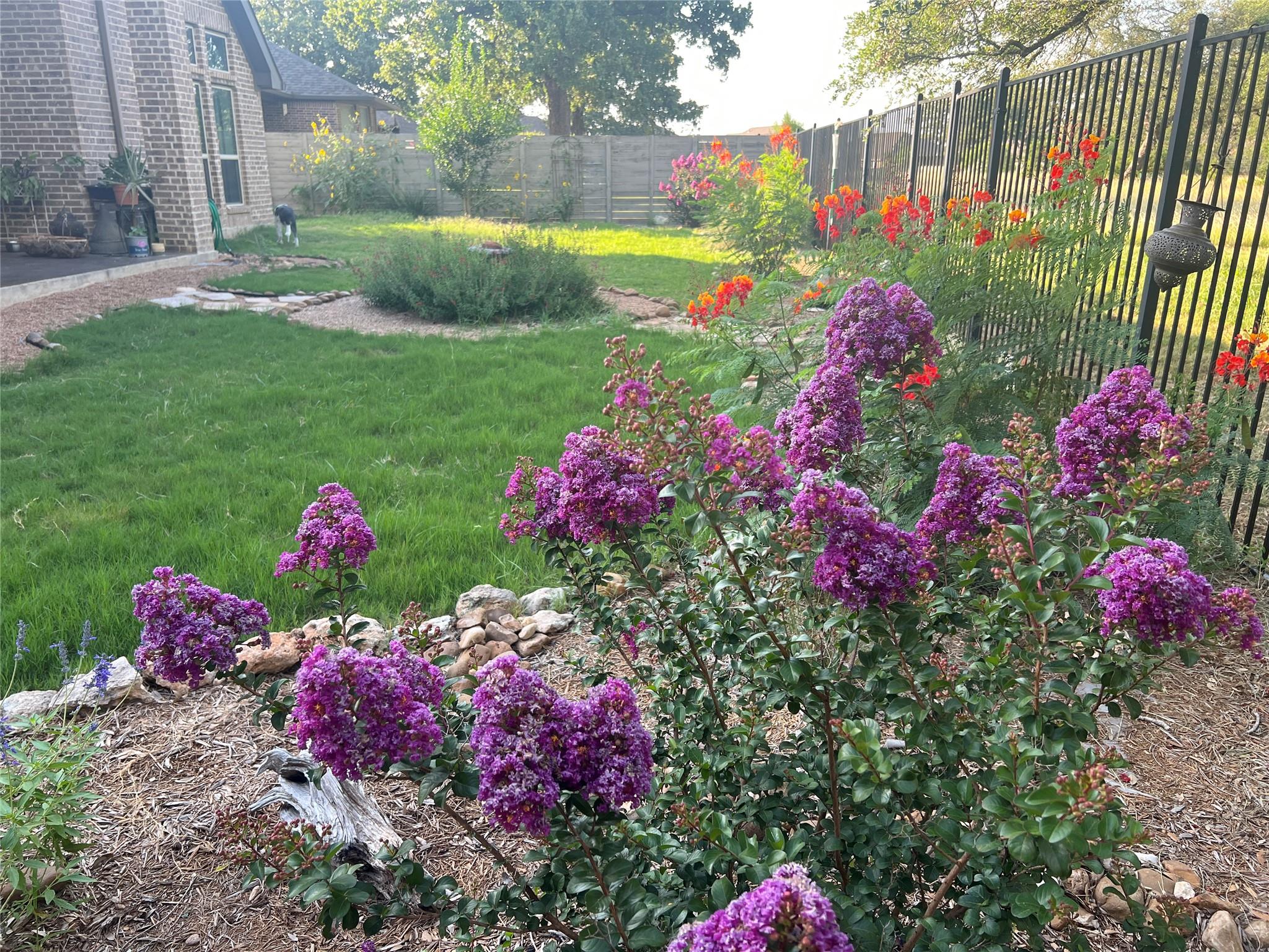 508 Chinkapin Trl, New Braunfels, TX 78132