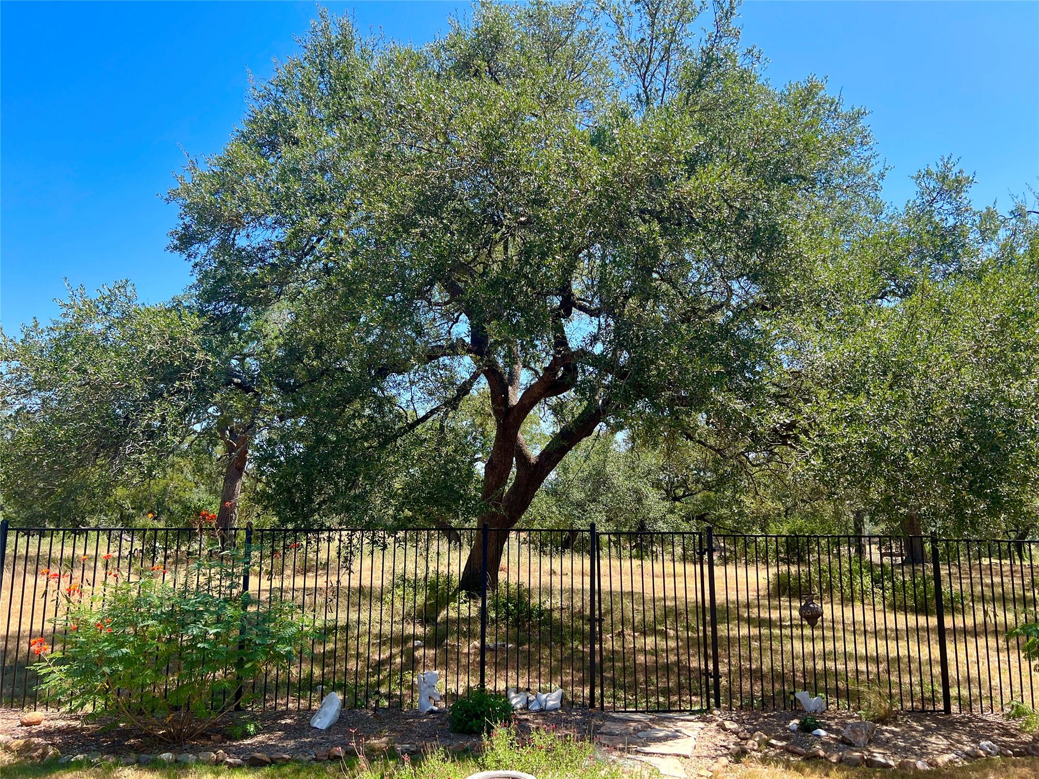 508 Chinkapin Trl, New Braunfels, TX 78132