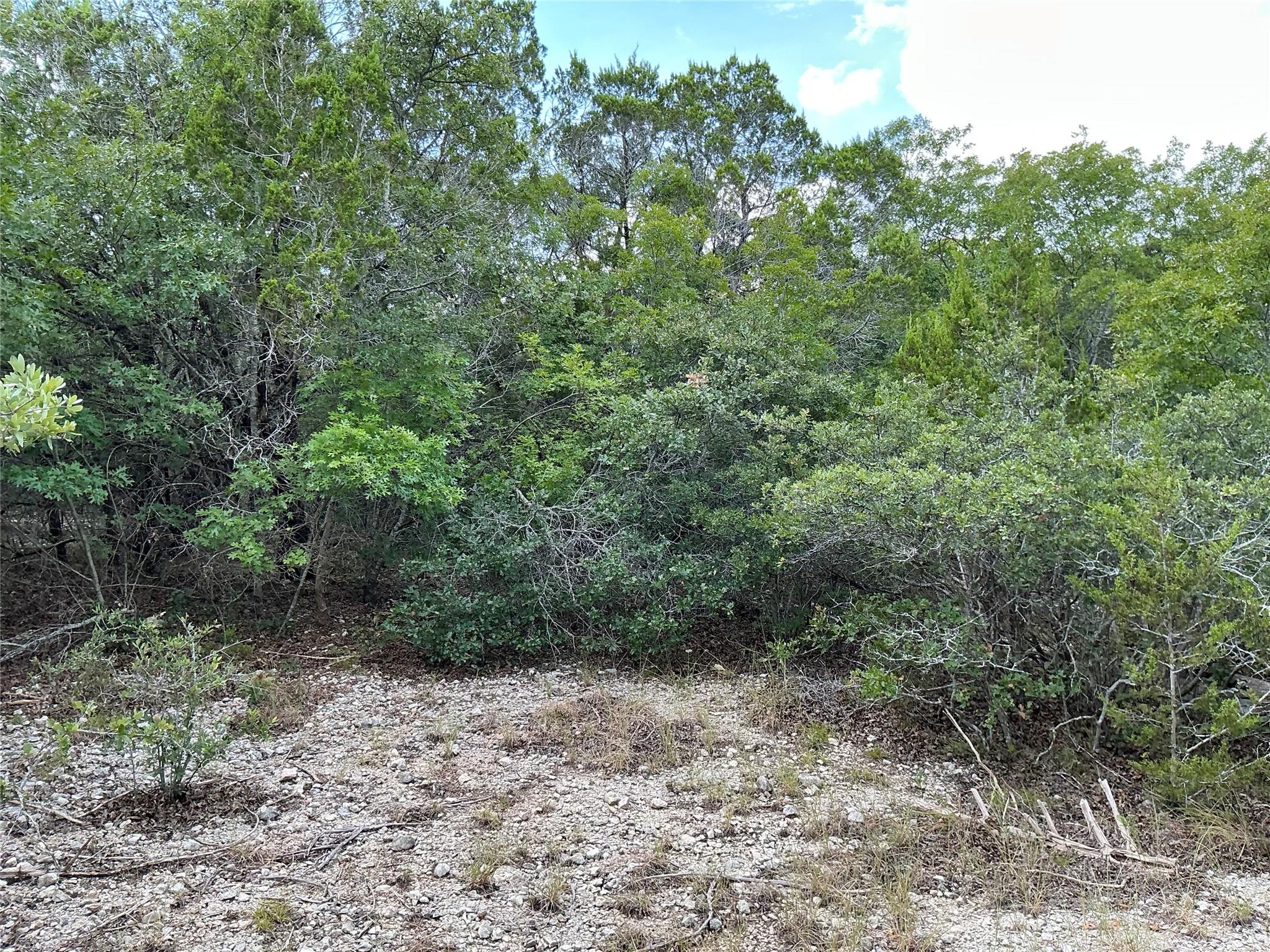 0000 County Road 330, Bertram, TX 78605