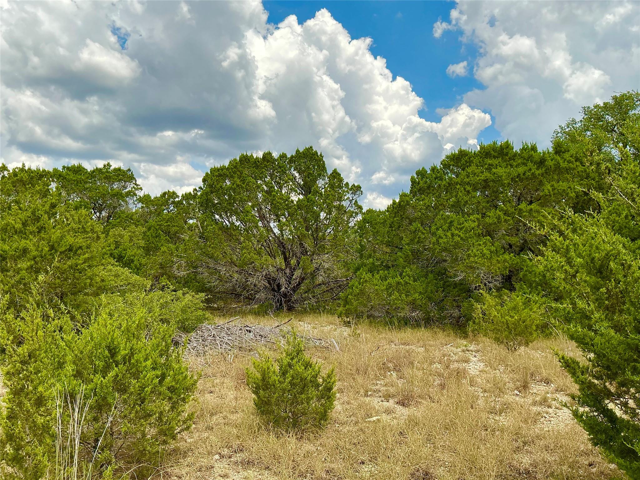 0000 County Road 330, Bertram, TX 78605