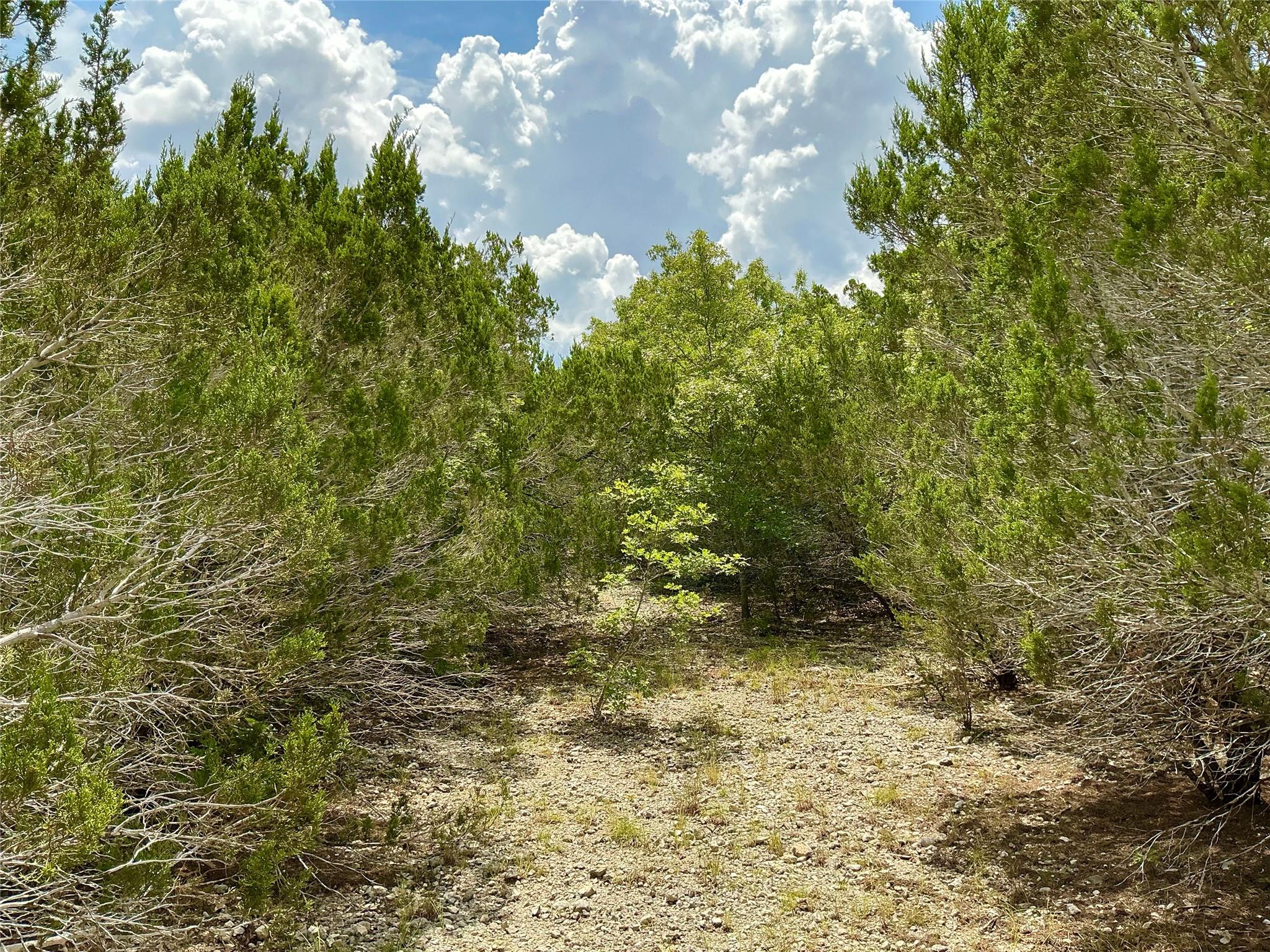 0000 County Road 330, Bertram, TX 78605