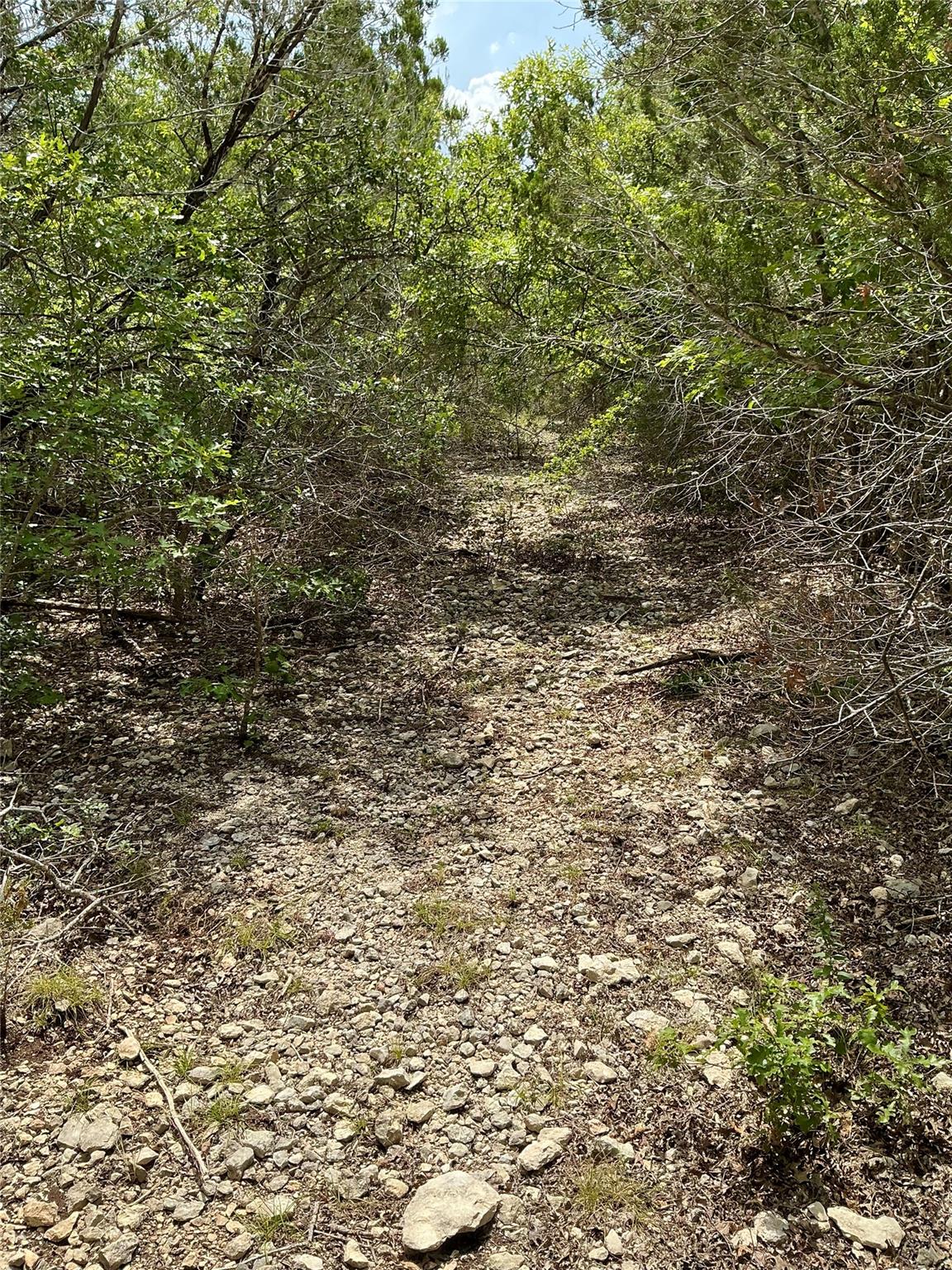 0000 County Road 330, Bertram, TX 78605