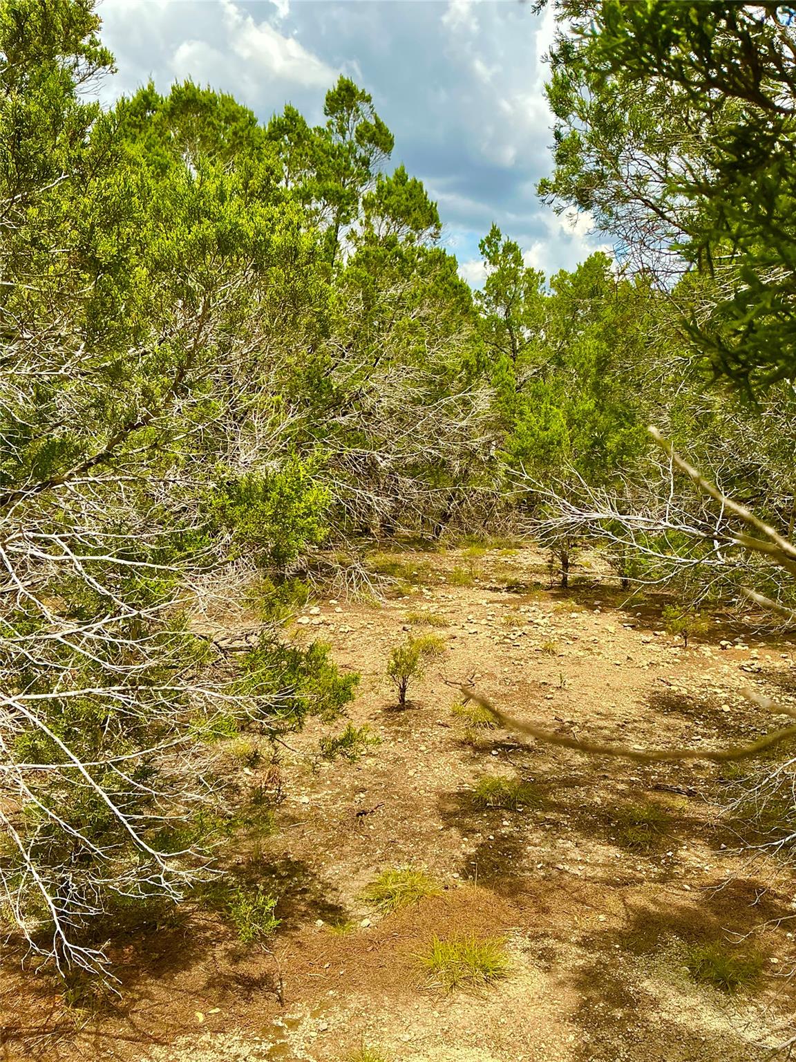 0000 County Road 330, Bertram, TX 78605