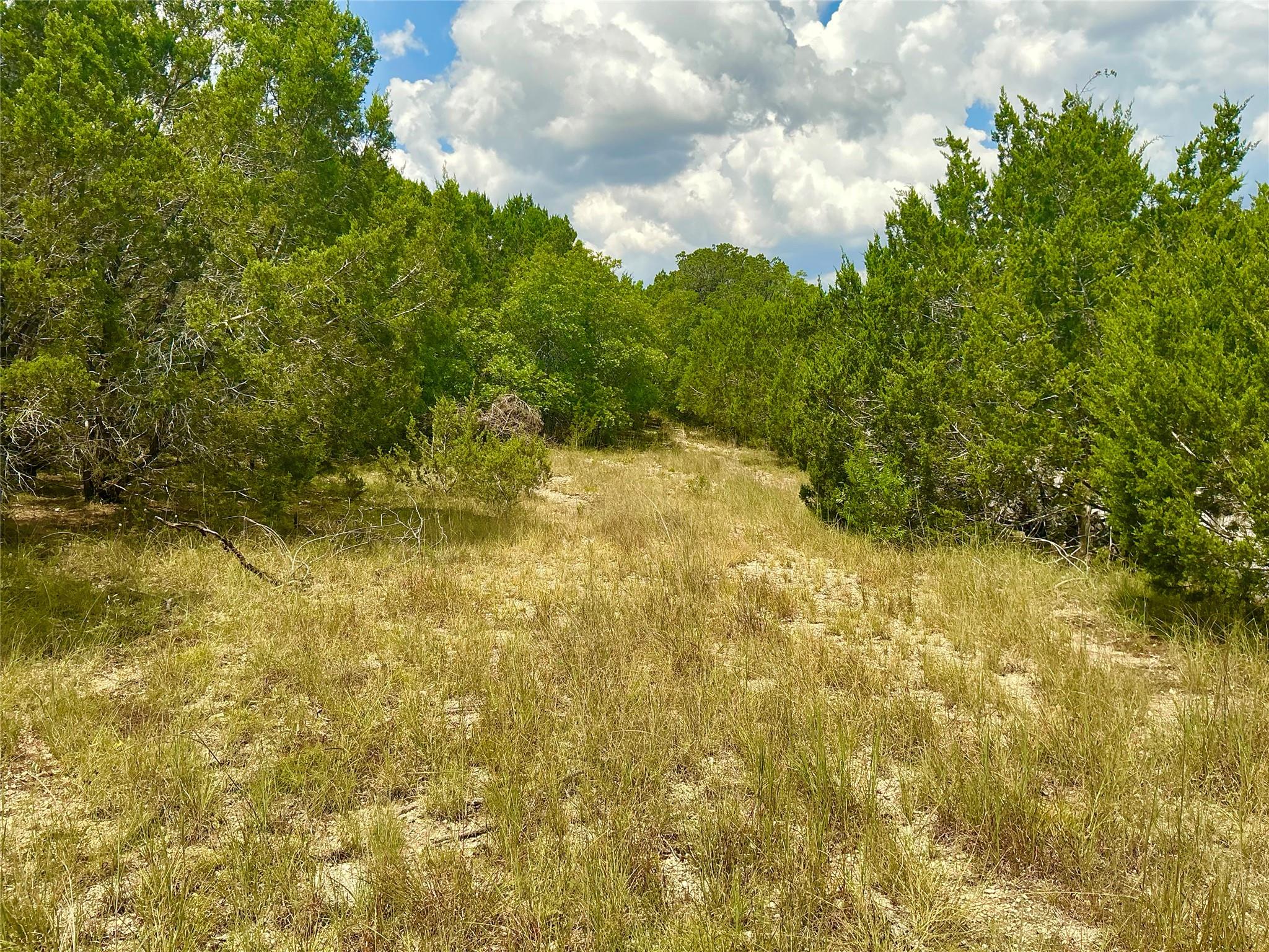 0000 County Road 330, Bertram, TX 78605
