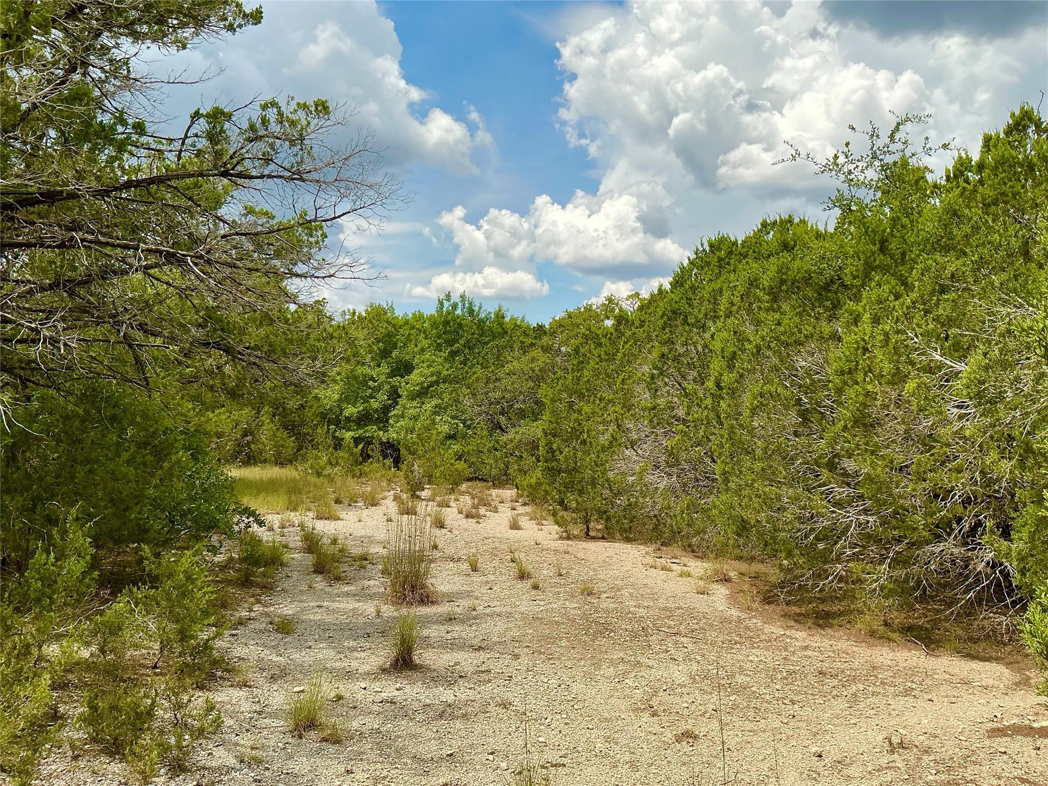 0000 County Road 330, Bertram, TX 78605