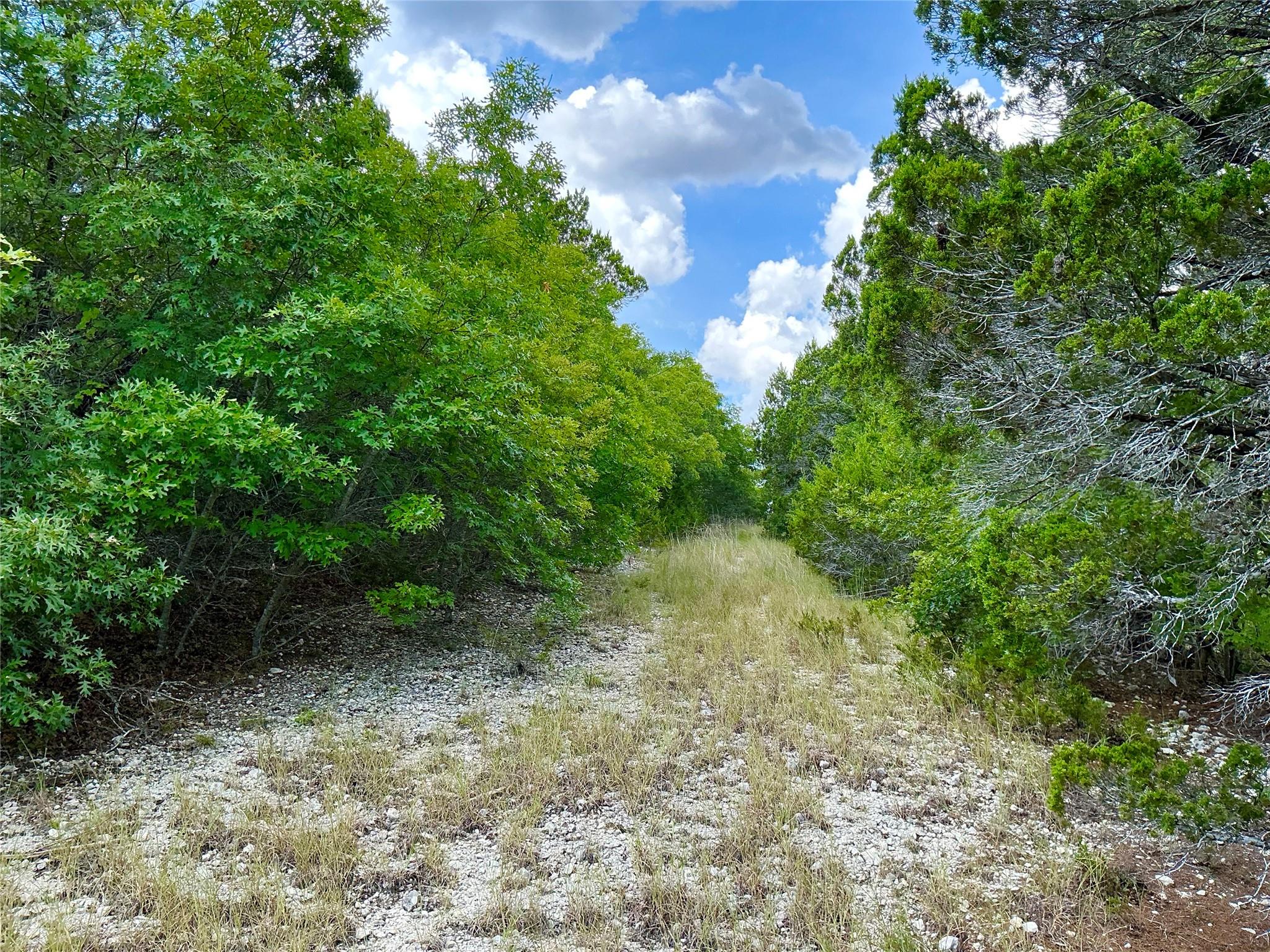 0000 County Road 330, Bertram, TX 78605