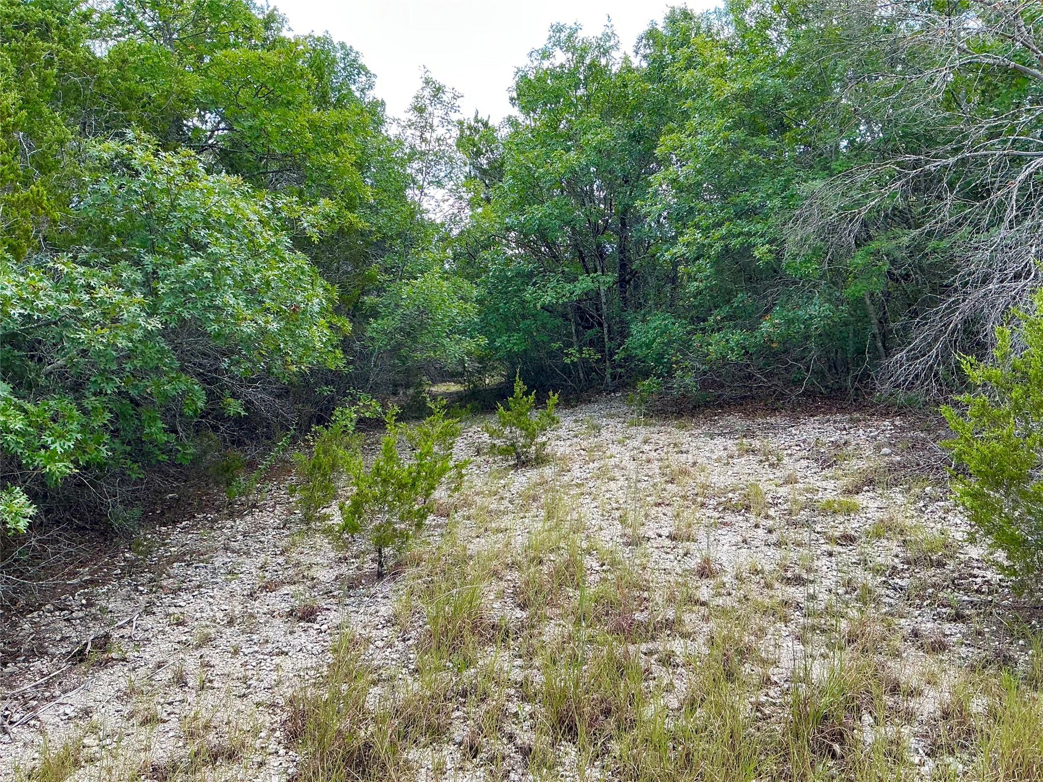 0000 County Road 330, Bertram, TX 78605