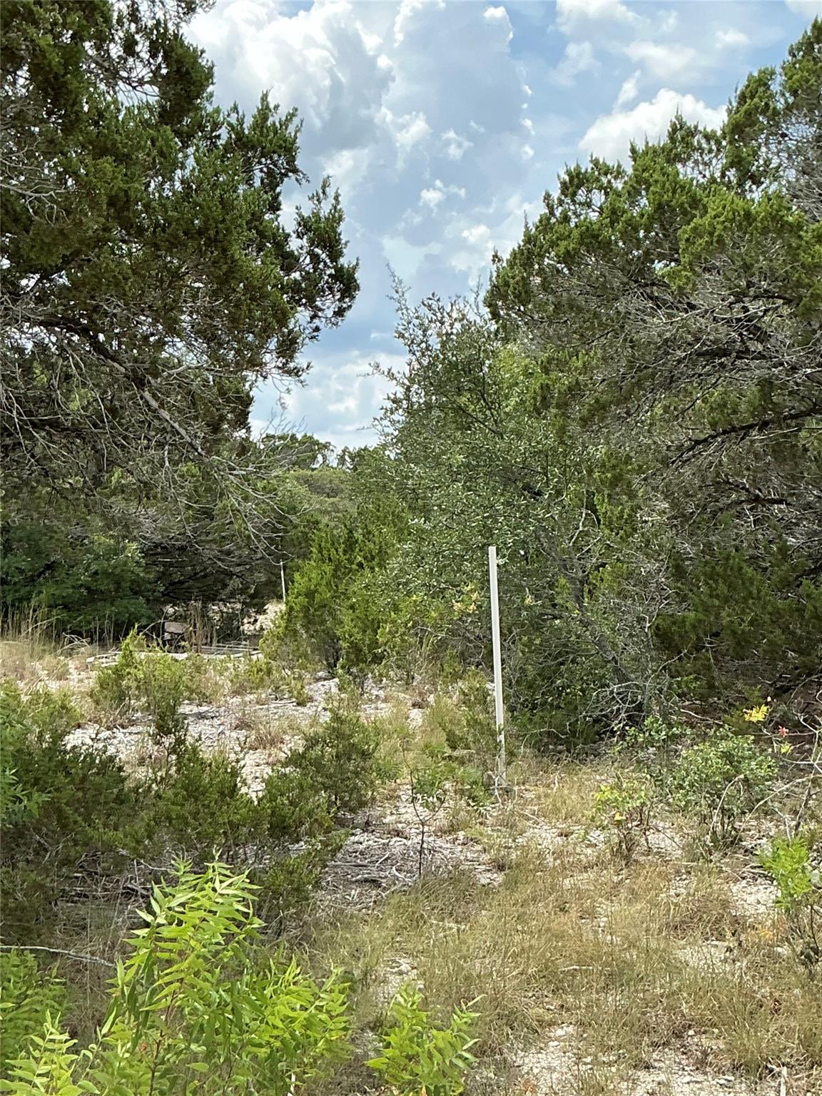 0000 County Road 330, Bertram, TX 78605