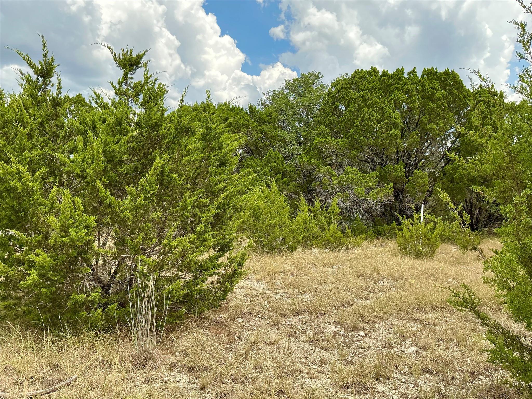 0000 County Road 330, Bertram, TX 78605