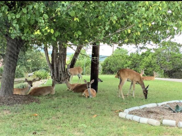 20010 Columbus Ln, Lago Vista, TX 78645