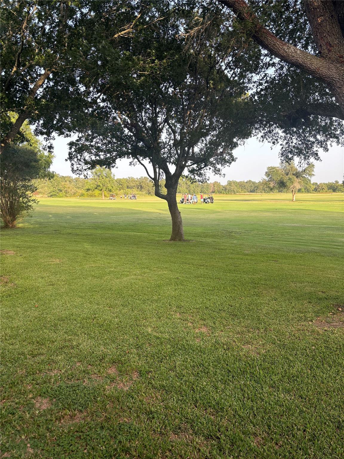 133 Champions Dr, Rockdale, TX 76567