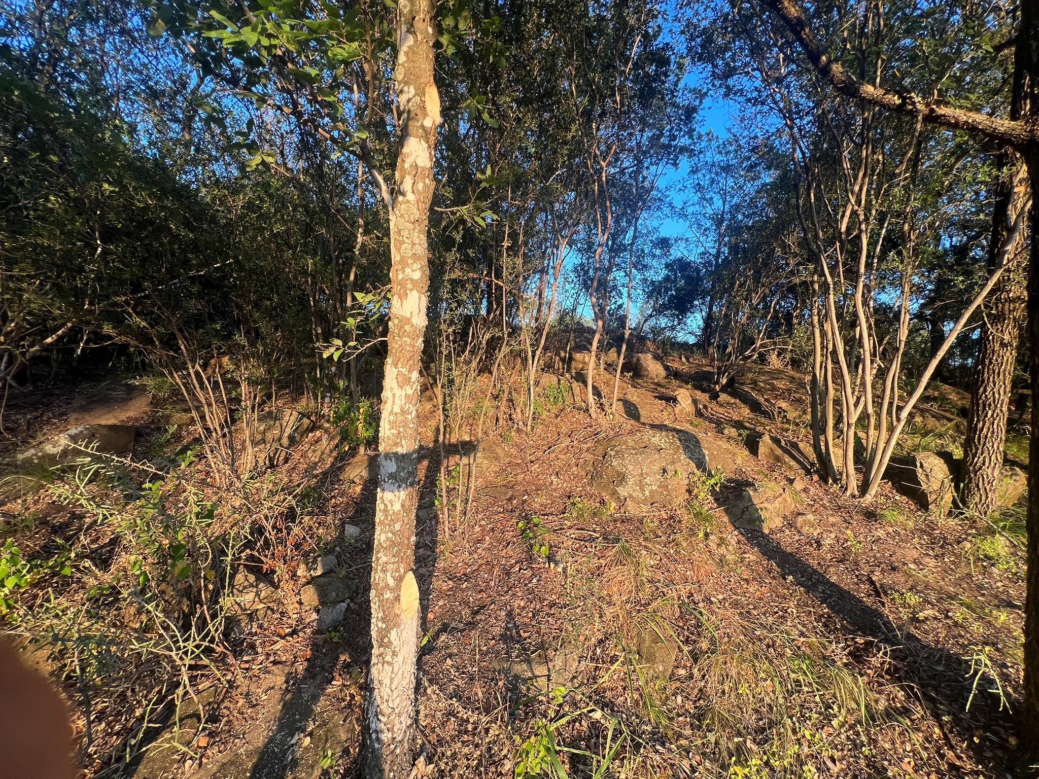 TBD E Fm 1431, Marble Falls, TX 78654