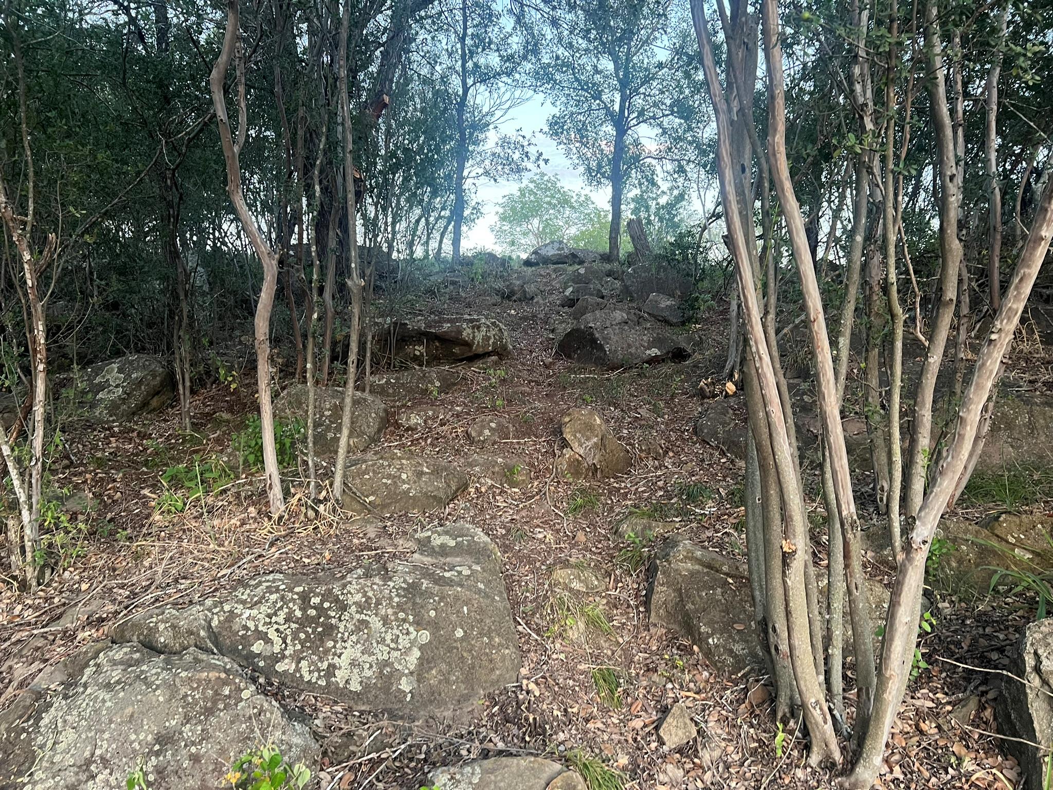 TBD E Fm 1431, Marble Falls, TX 78654