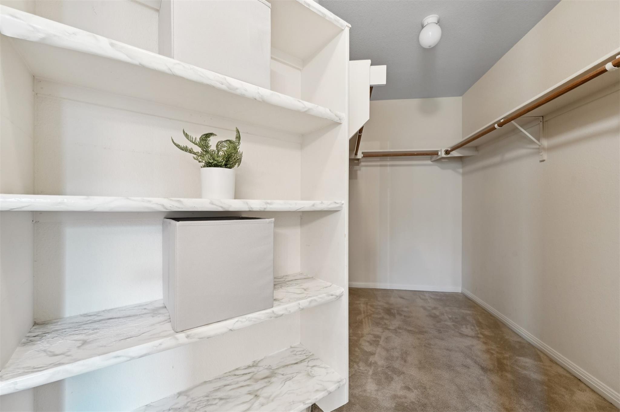 2213 Zoa Dr, Cedar Park, TX 78613