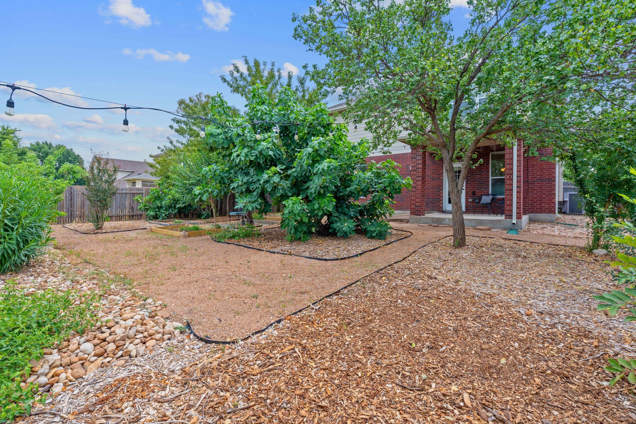 203 Tulip Trail Bnd, Cedar Park, TX 78613
